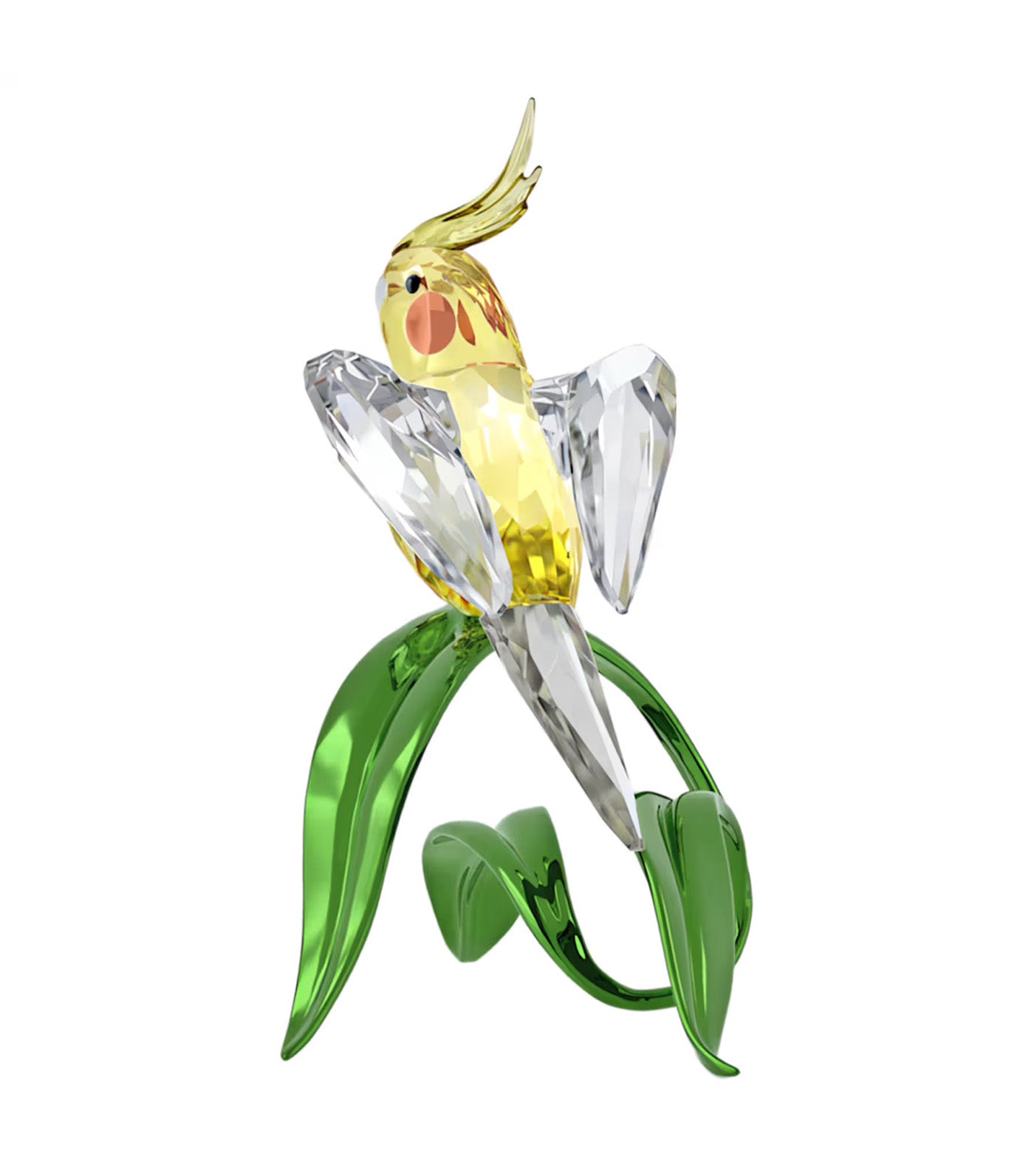 Idyllia Cockatiel