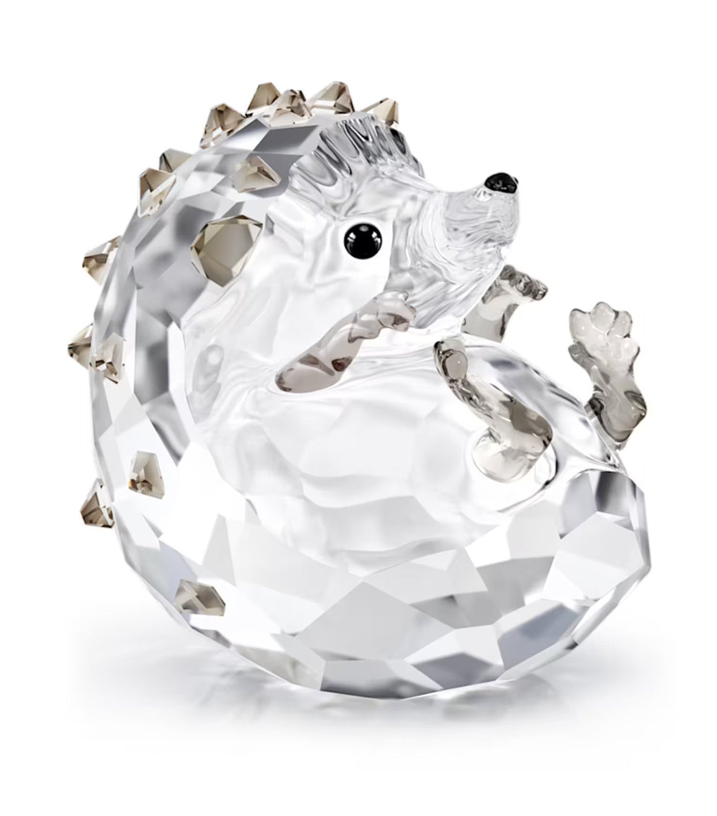 Idyllia Hedgehog