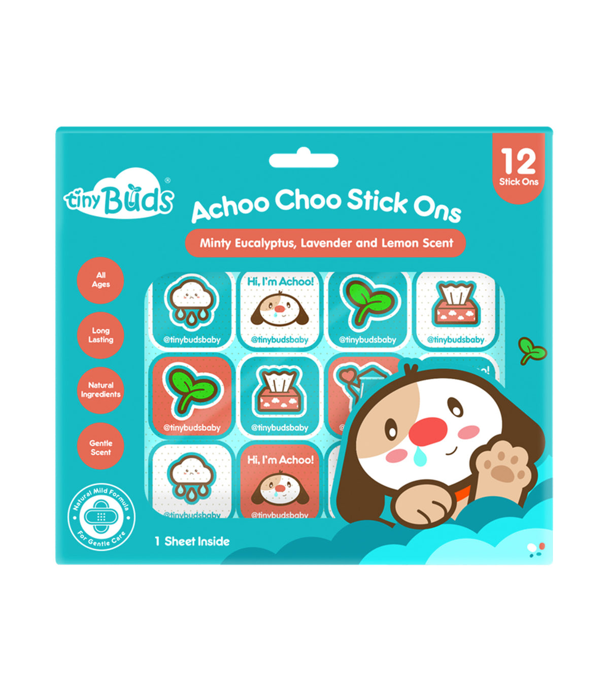 Achoo Choo Stick Ons