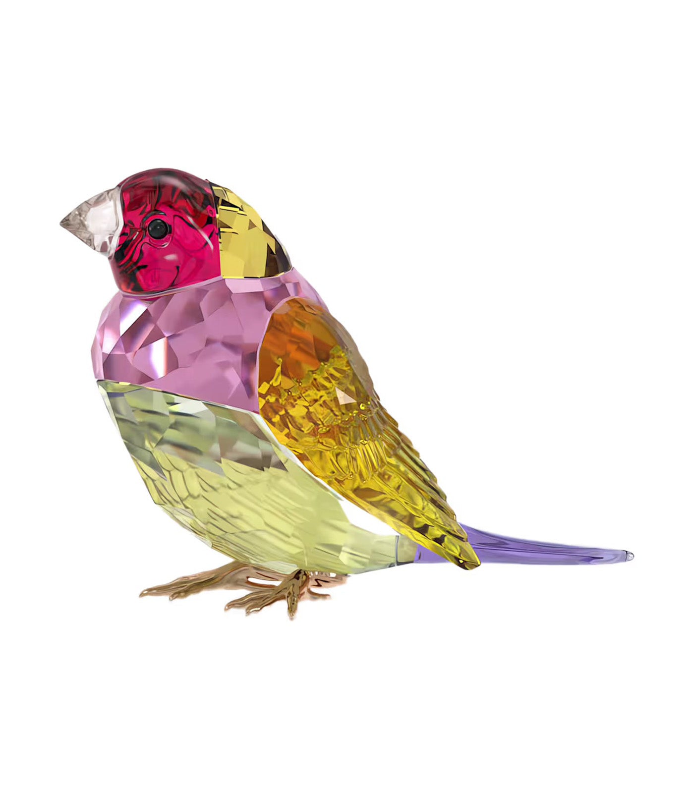 Idyllia SCS Gouldian Finch