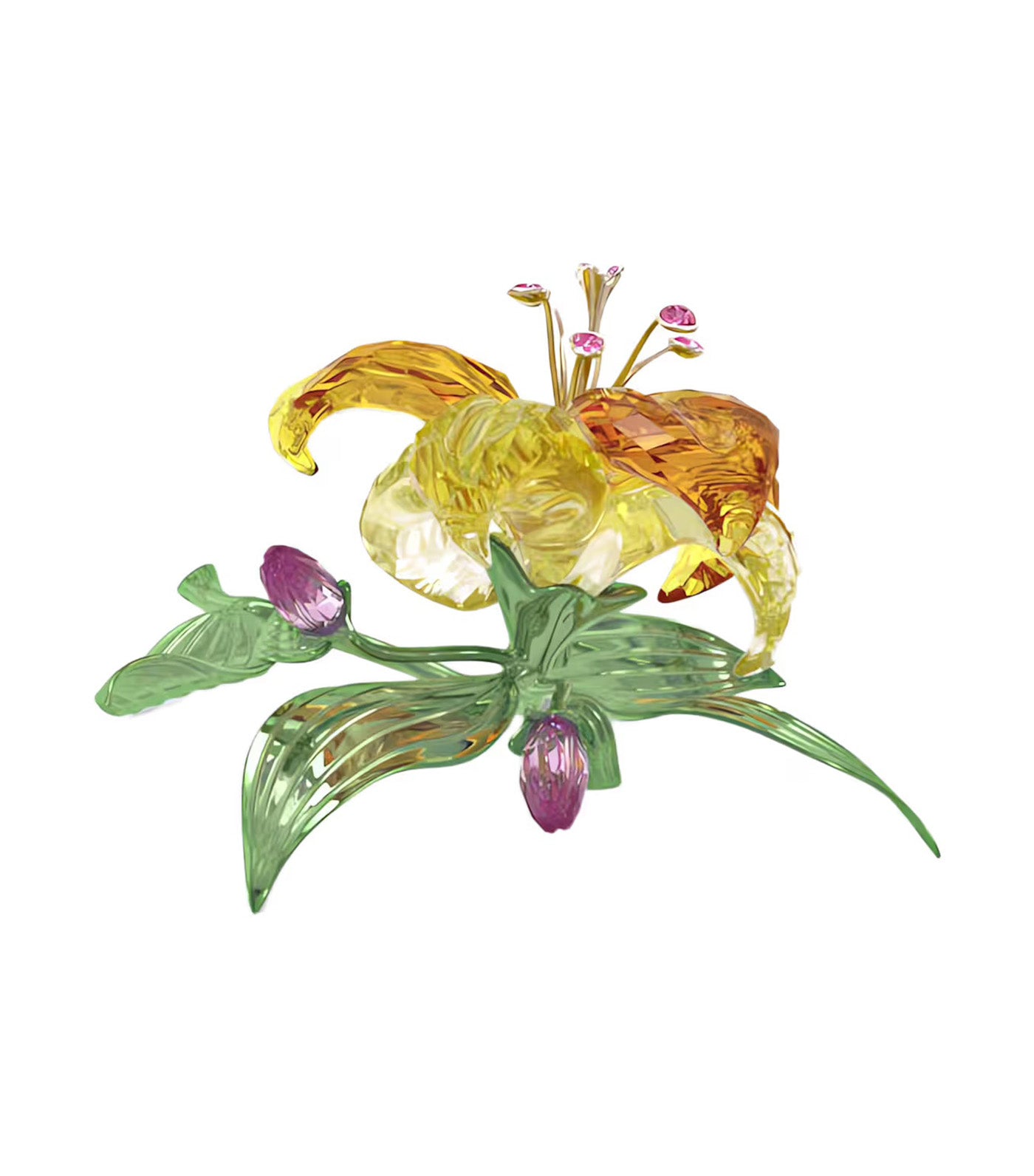 Florere Lily