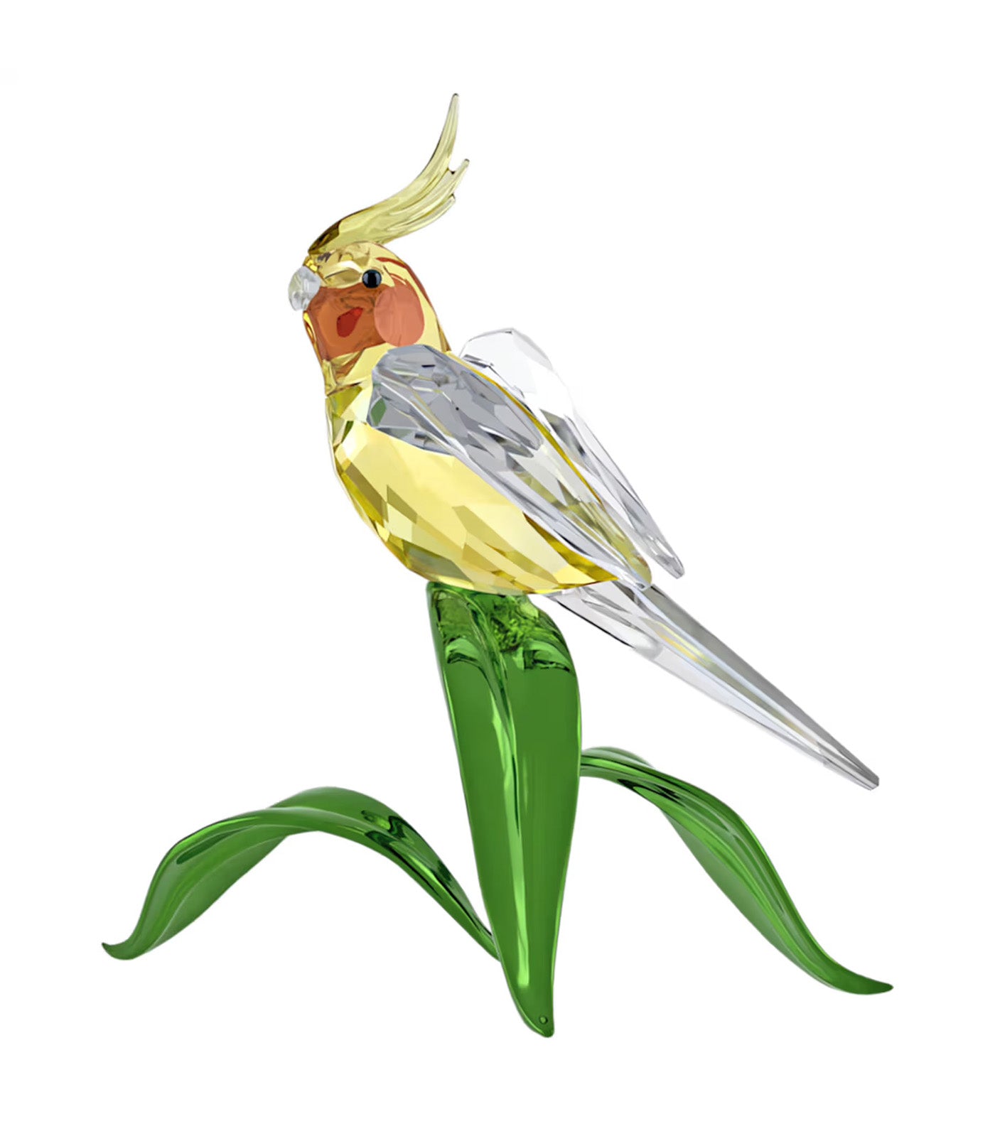 Idyllia Cockatiel