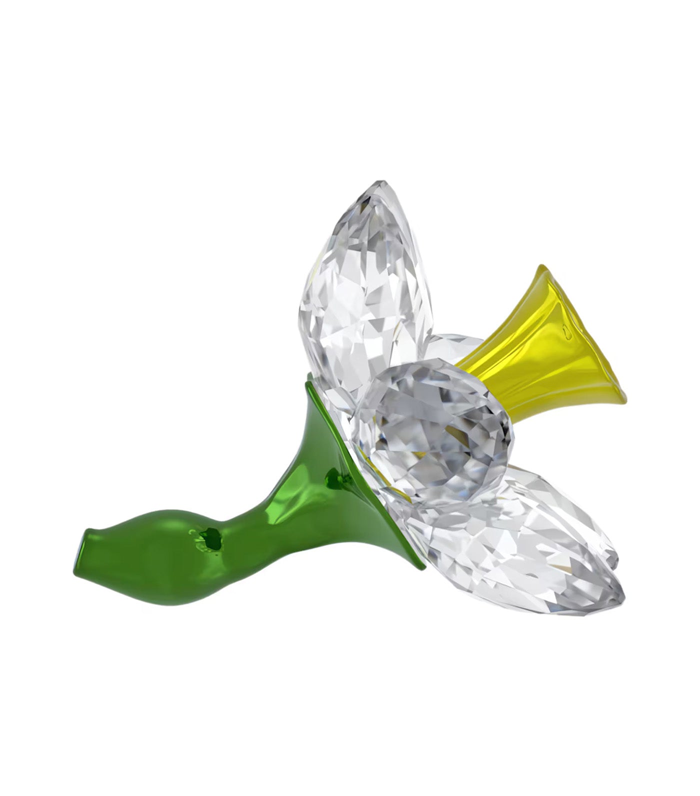Florere Daffodil
