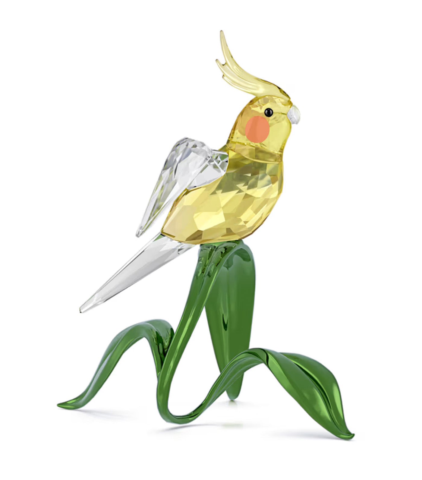 Idyllia Cockatiel