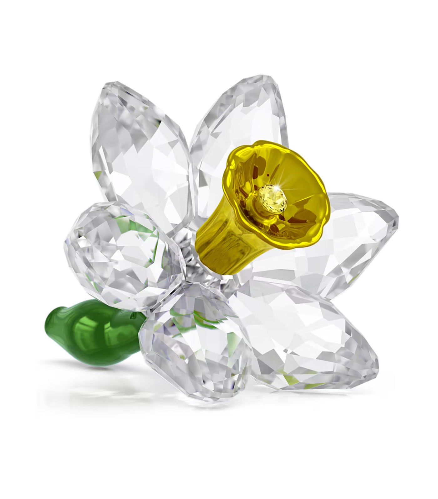 Florere Daffodil