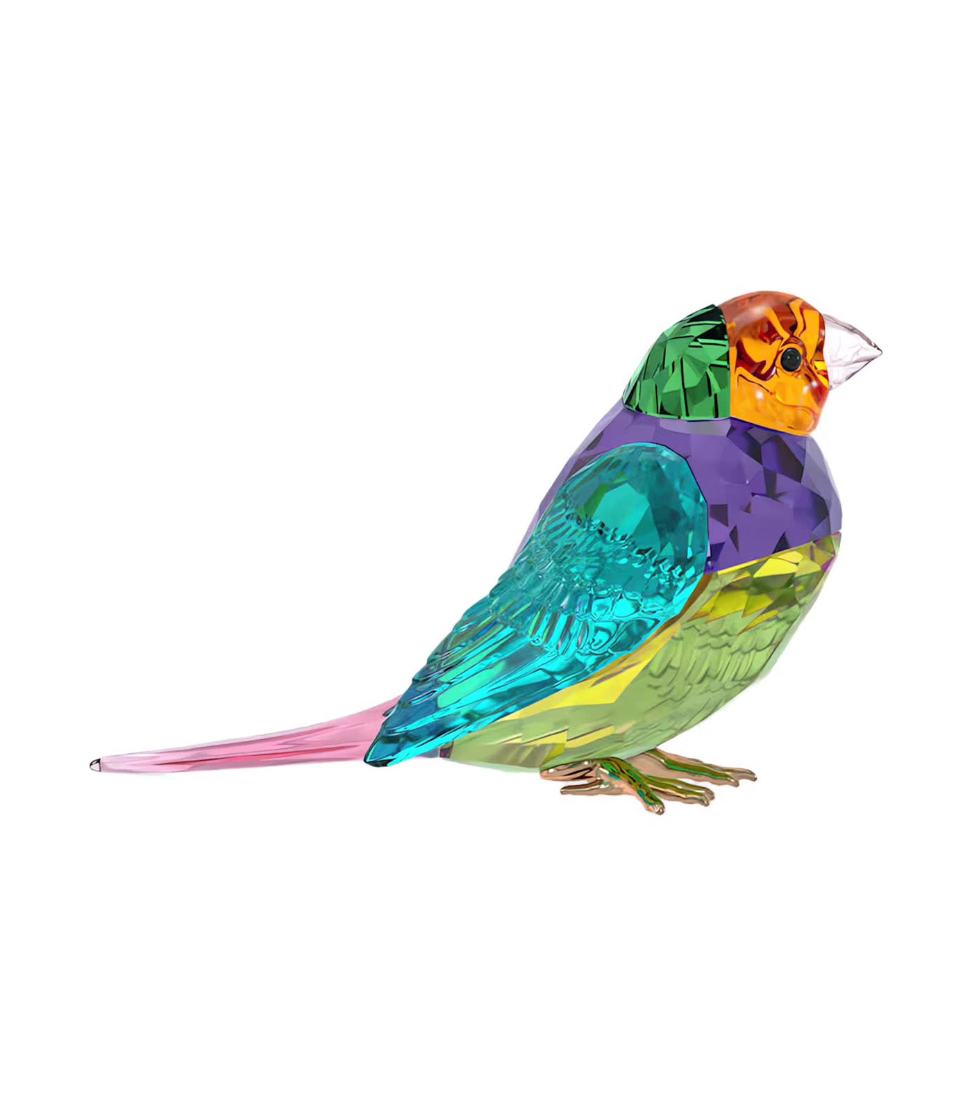 Idyllia SCS Gouldian Finch