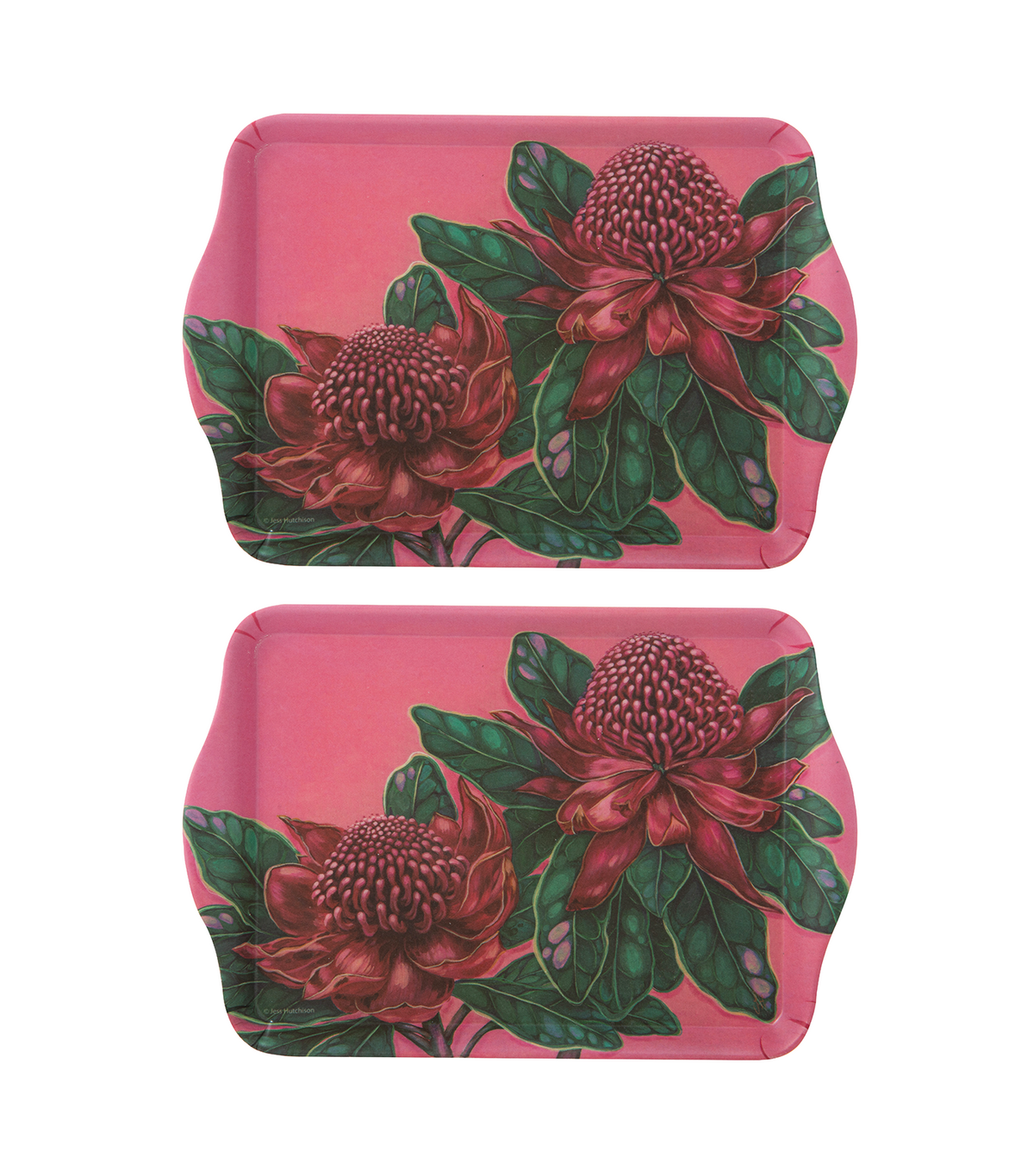 Native Flora Waratah Scatter Tray Set of 2