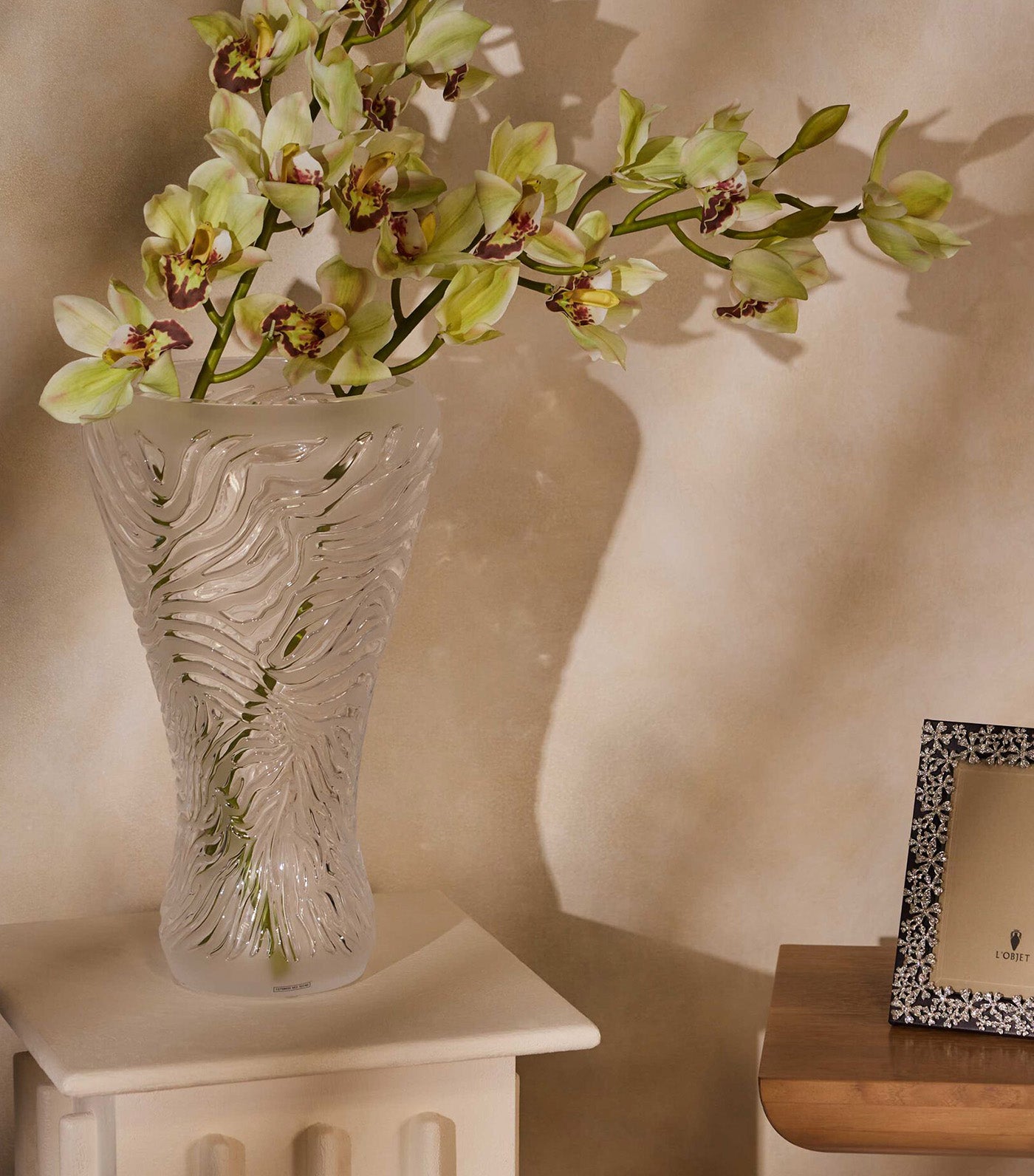 Zebre Vase Large Clear