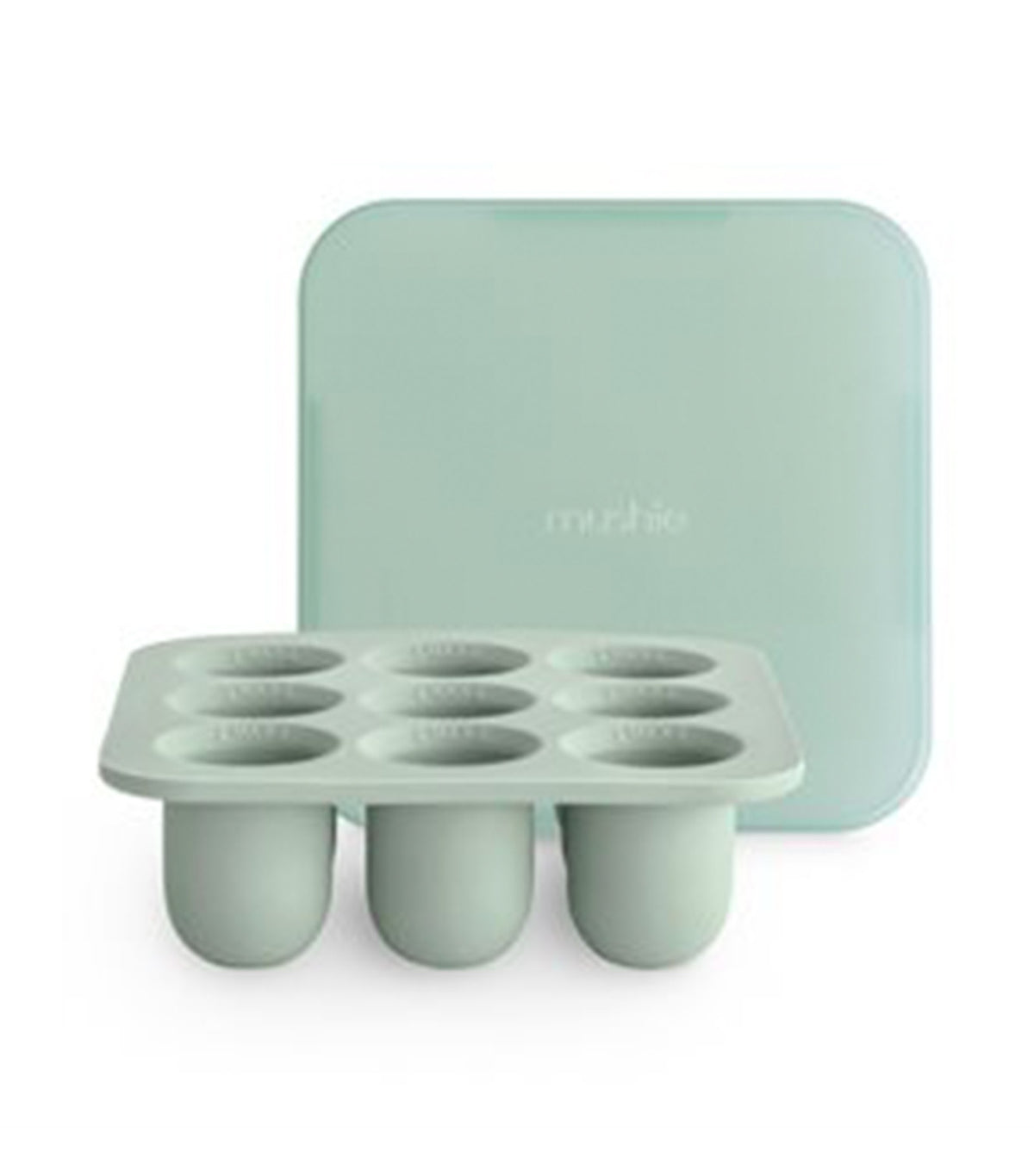 Fresh Food Feeder Freezer Tray Cambridge Blue