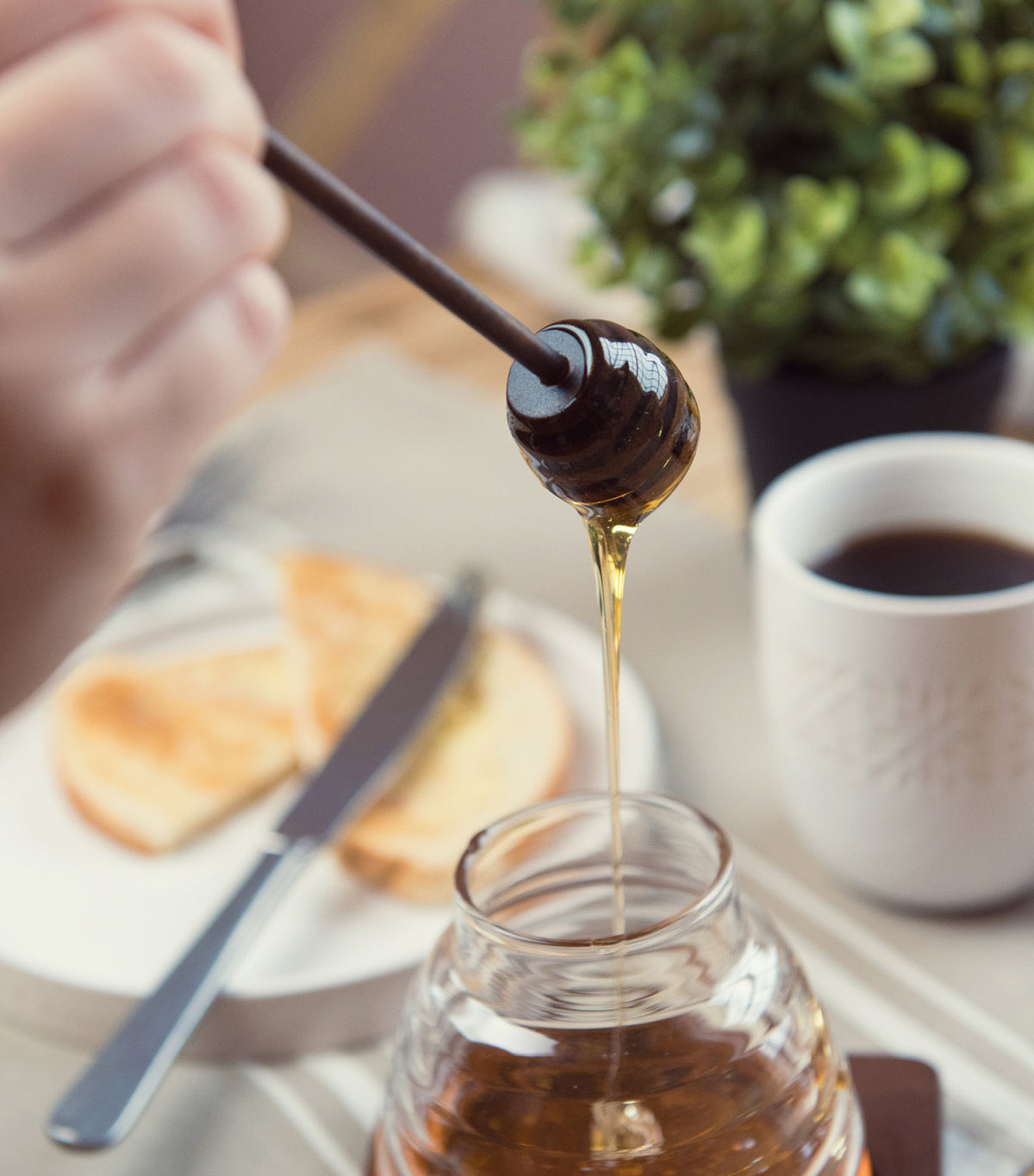Honey Pot