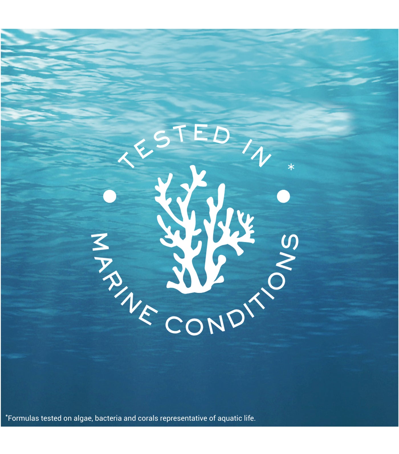 Light Sun Fluid High Protection SPF50