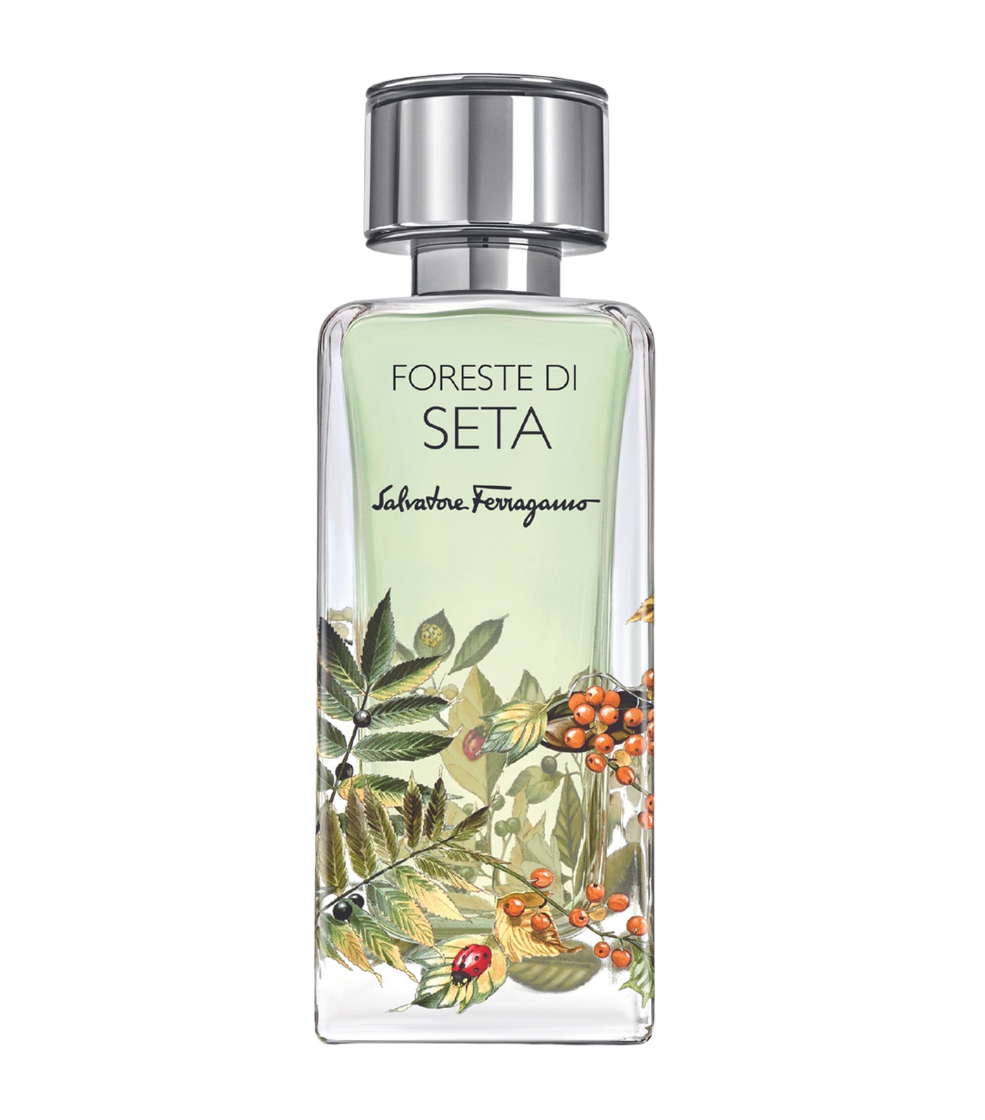 Foreste di Seta