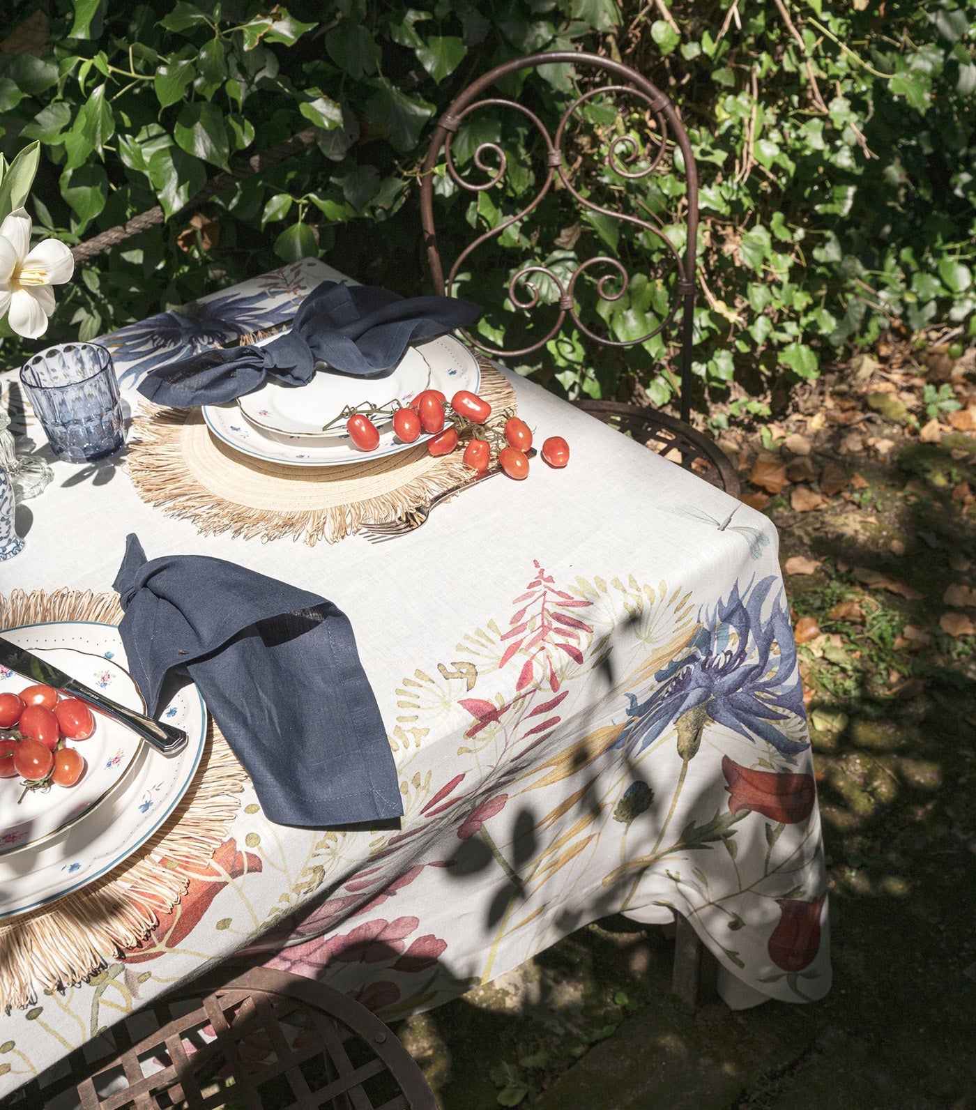 Fiordaliso Collection