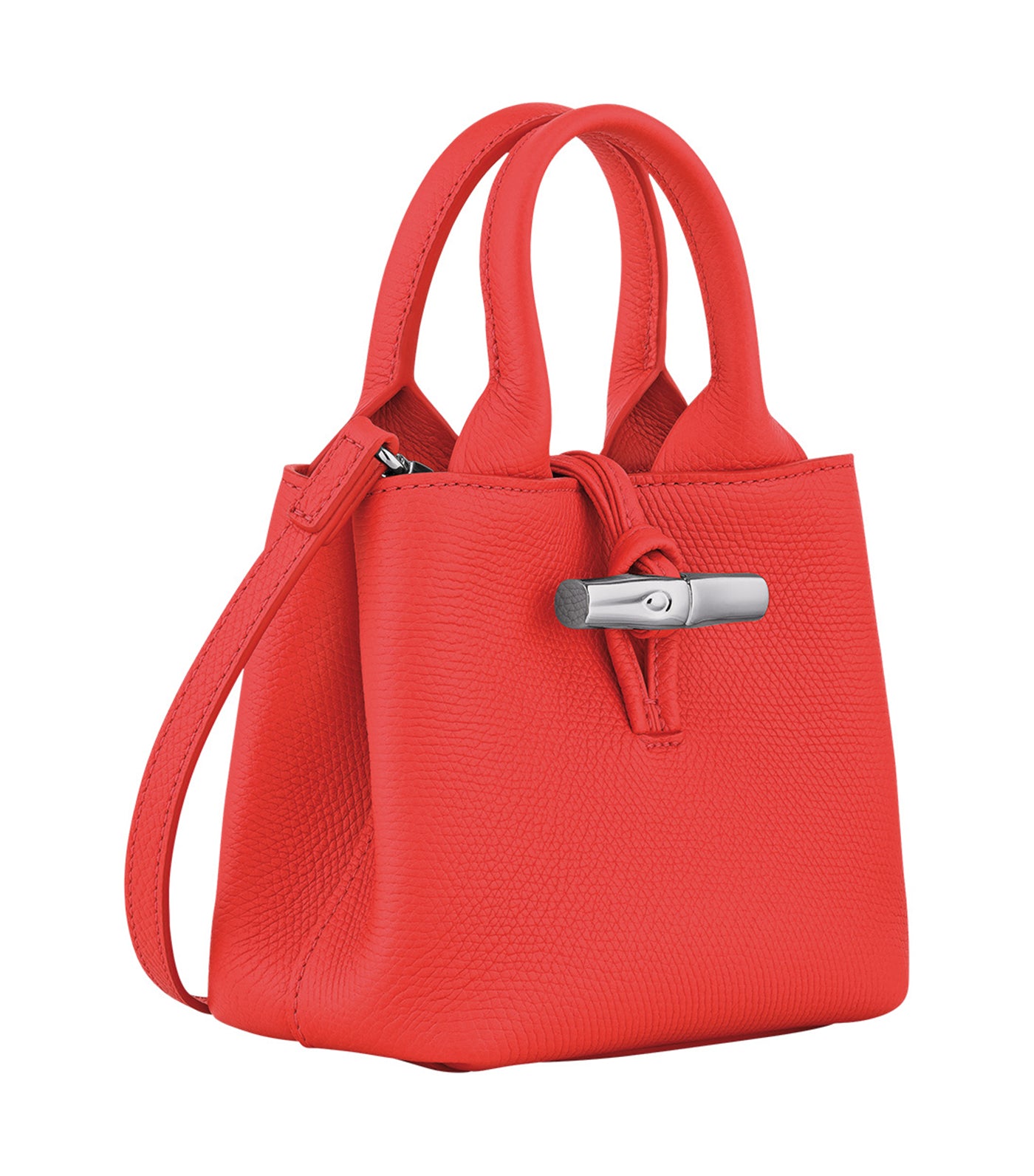 Le Roseau Handbag XS