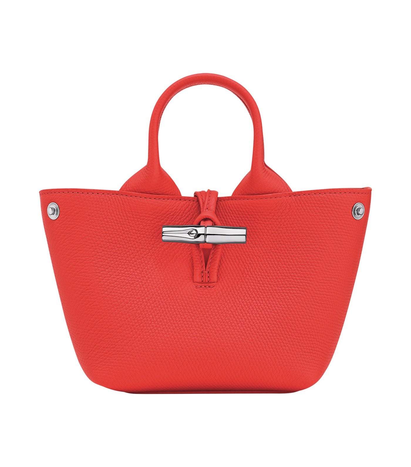 Le Roseau Handbag XS