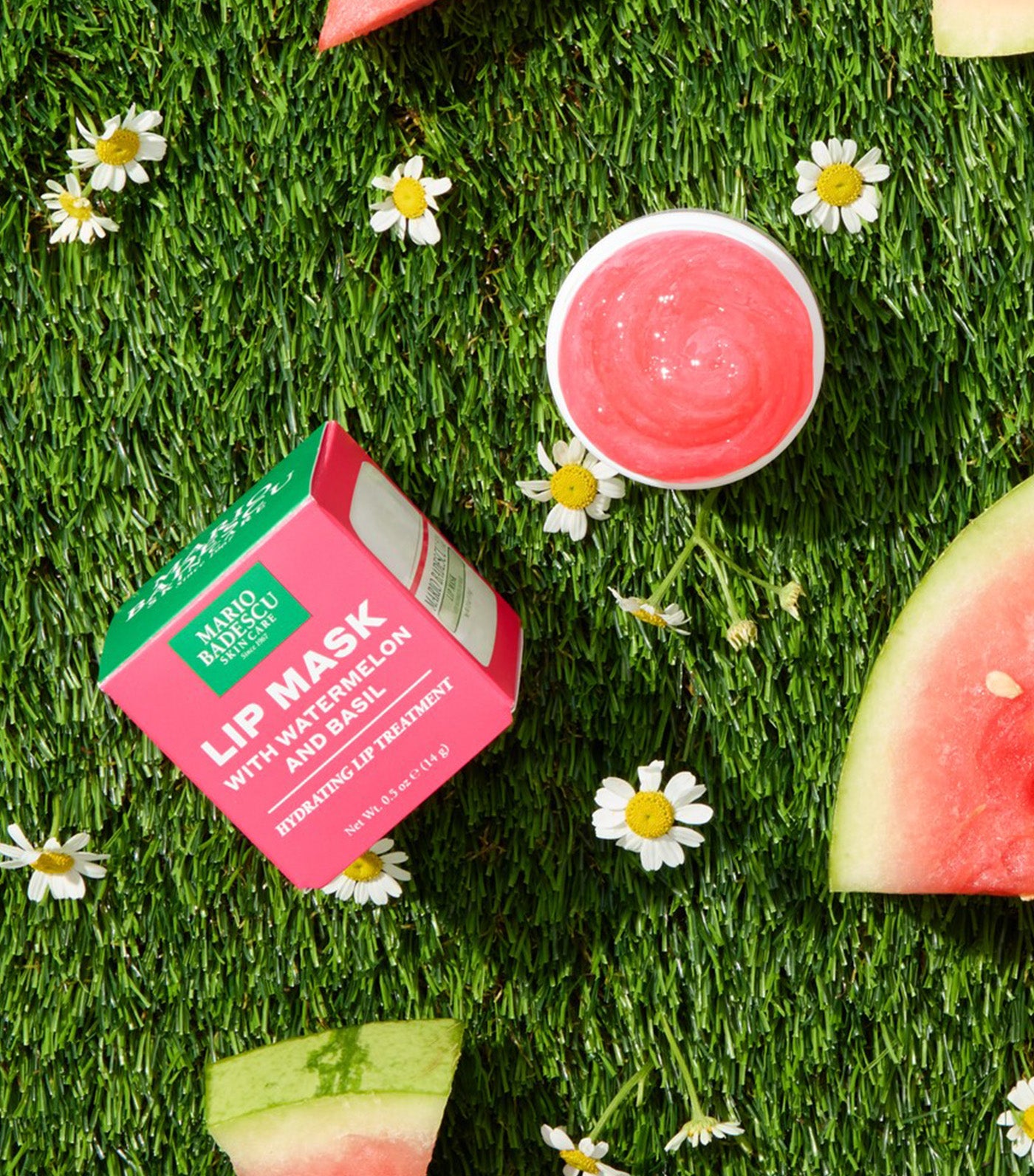 Watermelon and Basil Lip Mask