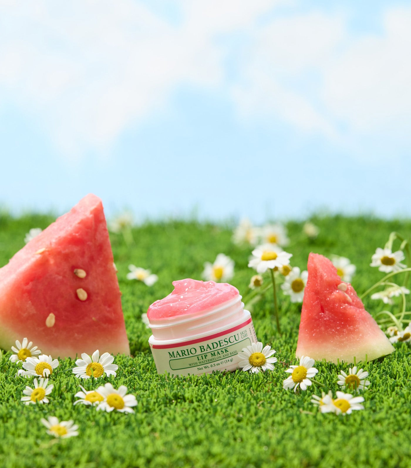 Watermelon and Basil Lip Mask
