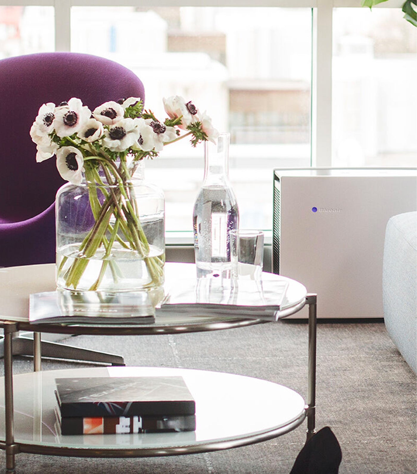 blueair pro m air purifier