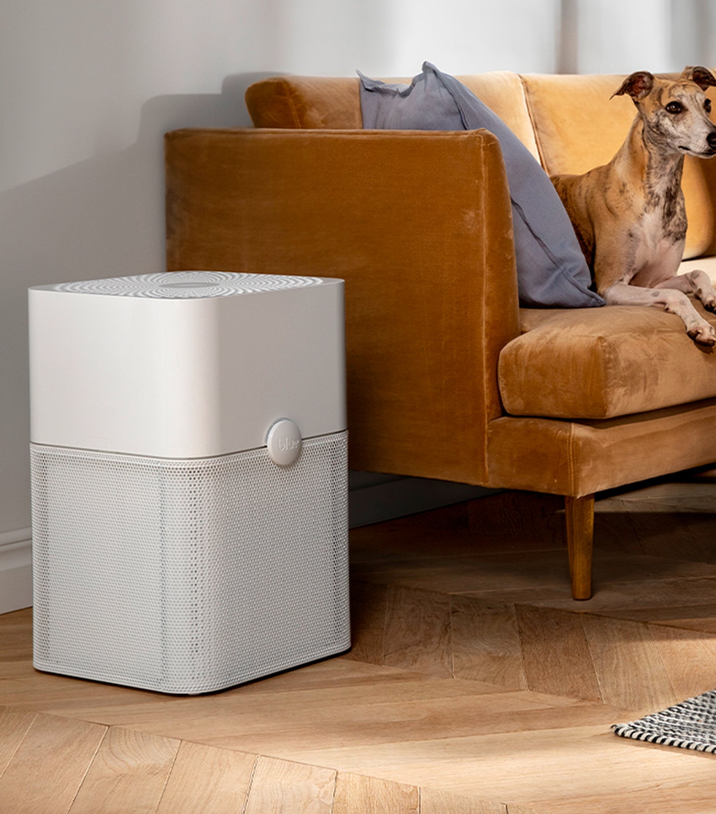 blueair blue pure 221 air purifier