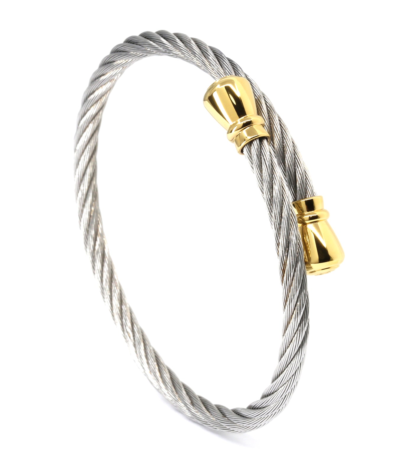 Celtic Bangle Bourse Silver and Gold
