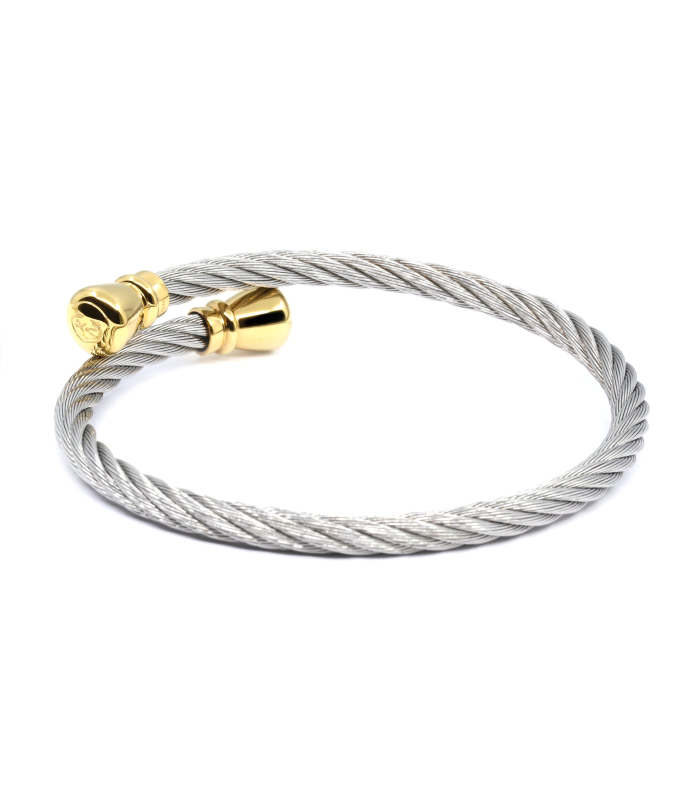 Celtic Bangle Bourse Silver and Gold