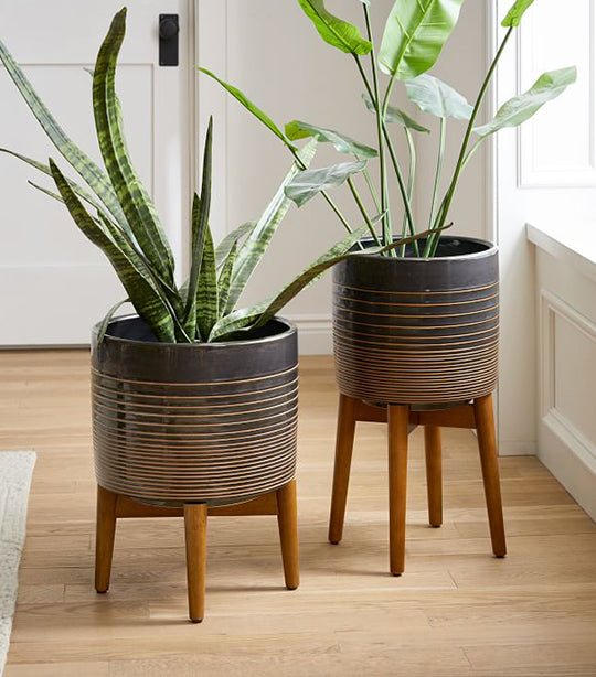 west elm Turned Wood Leg Planters
