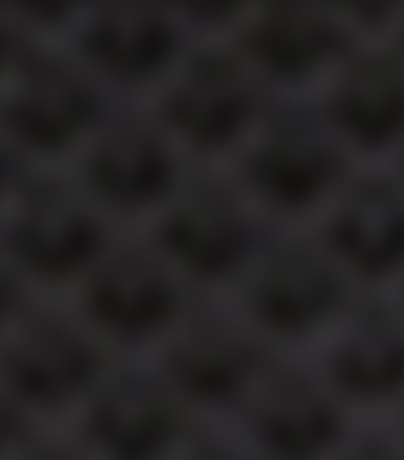 Women's Chantaco Leather Small Crossbody Bag Noir