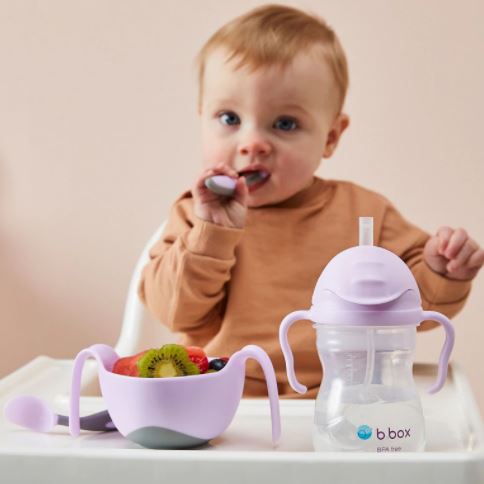Sippy Boysenberry Cup