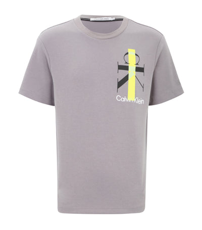 Graphic Tee Relaxed Gray
