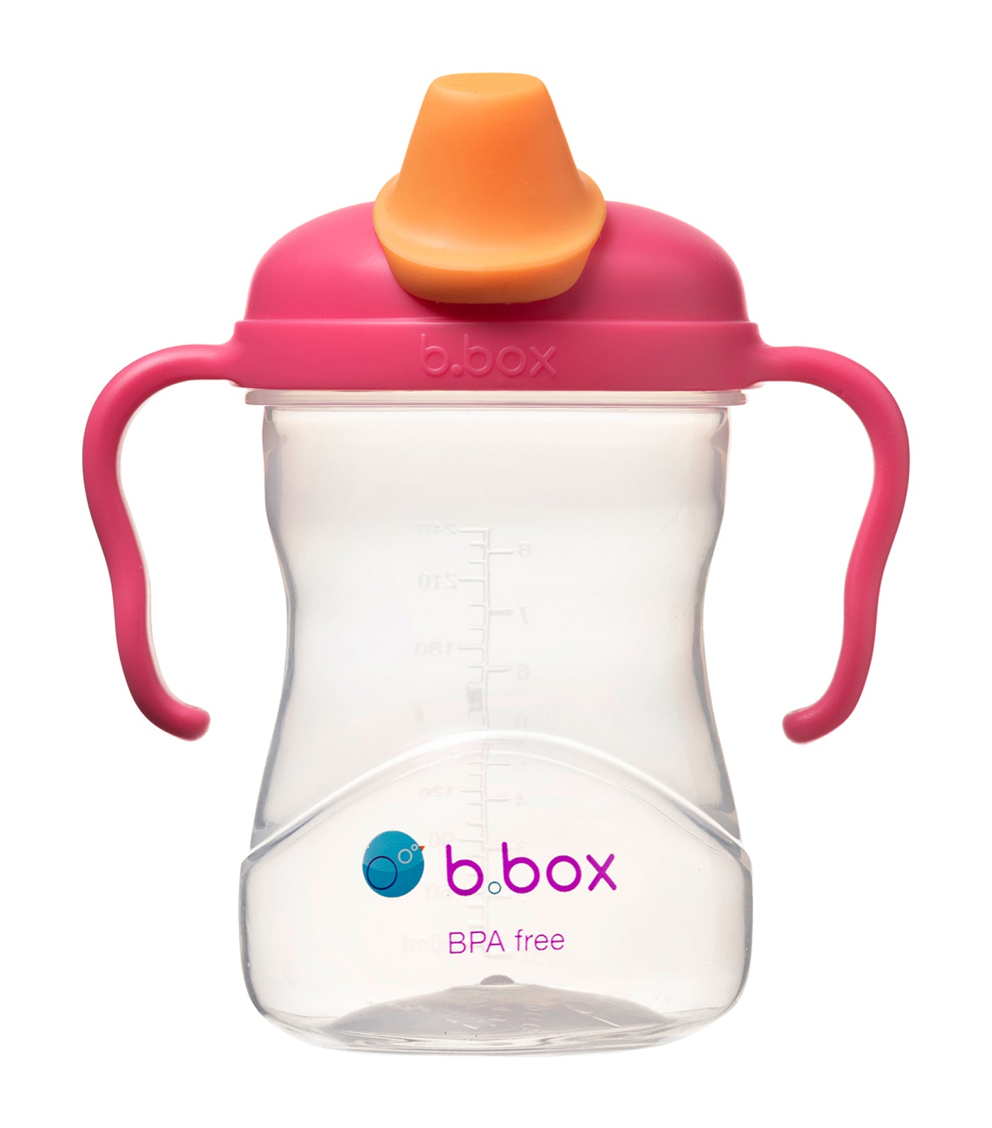 b. box spout cup rasberry