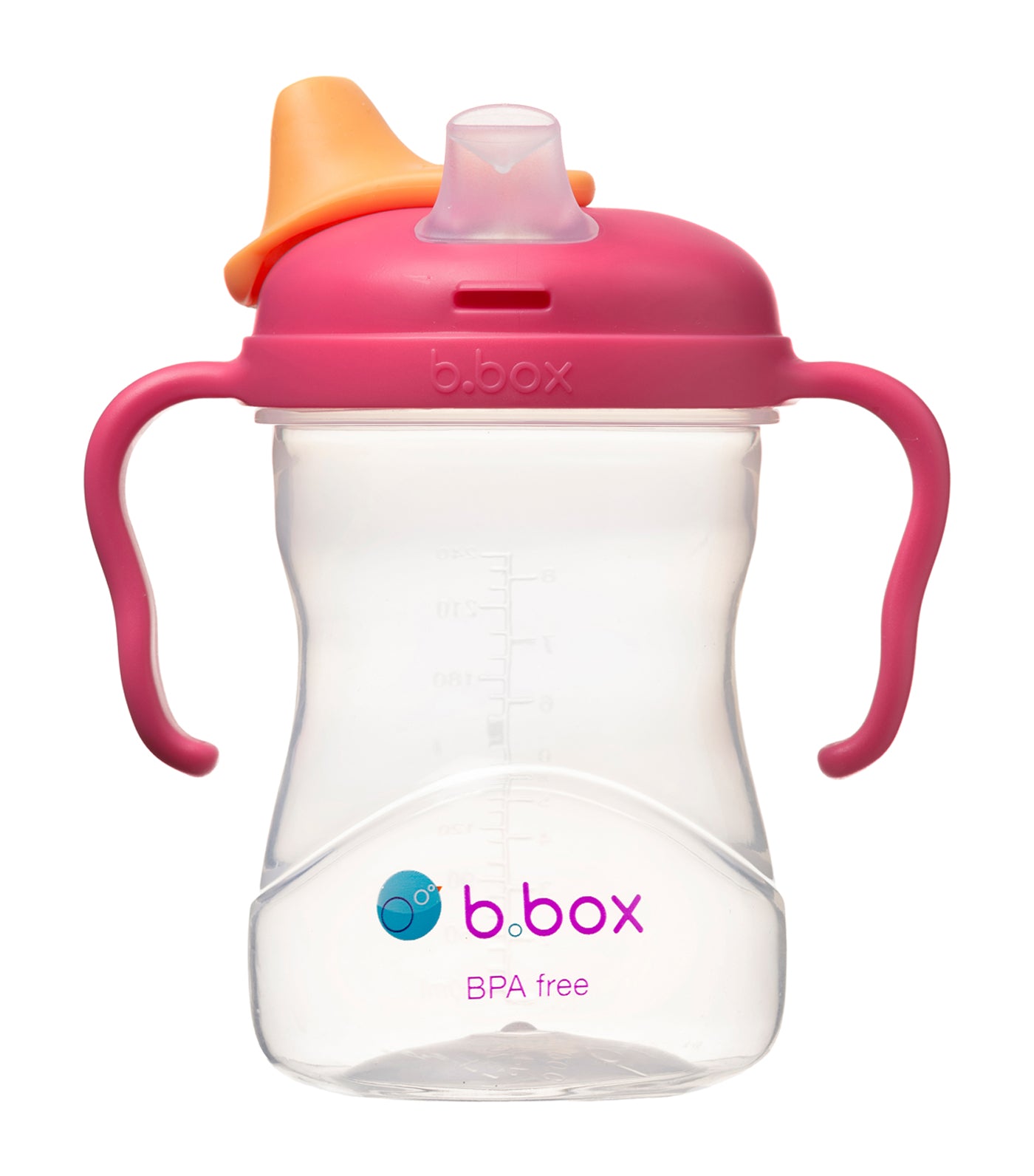 b. box spout cup rasberry