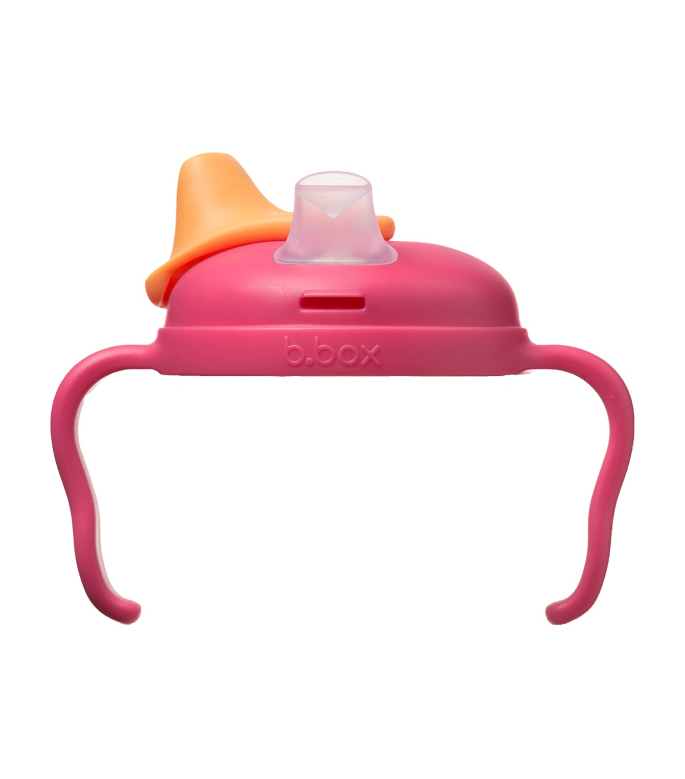 b. box spout cup rasberry