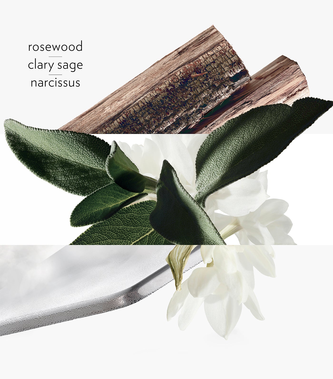 Hermès H24, Eau de toilette