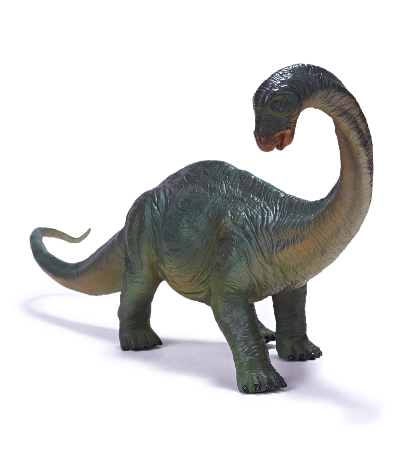 recur apatosaurus