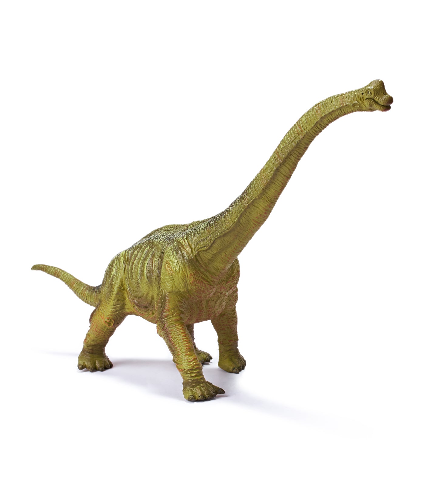 recur brachiosaurus