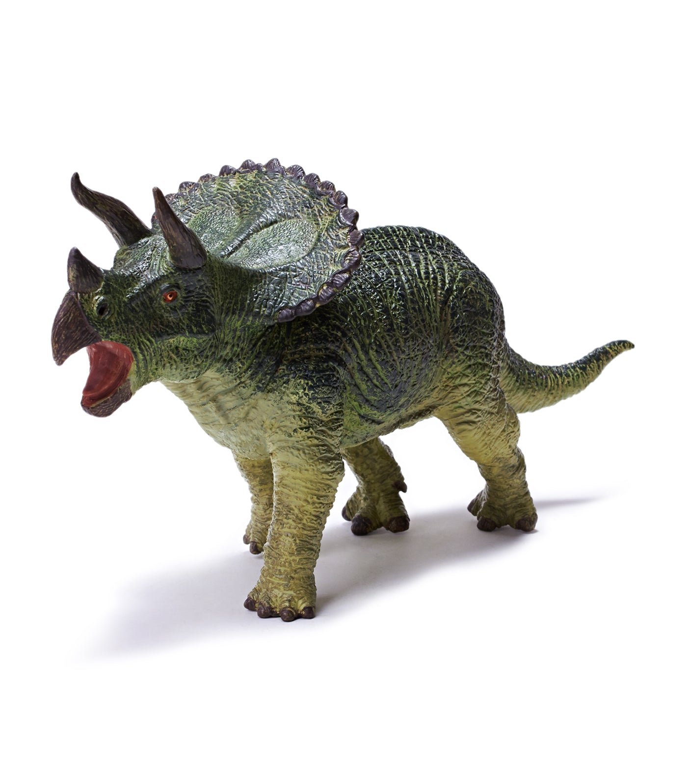 recur sterrholophus marsh