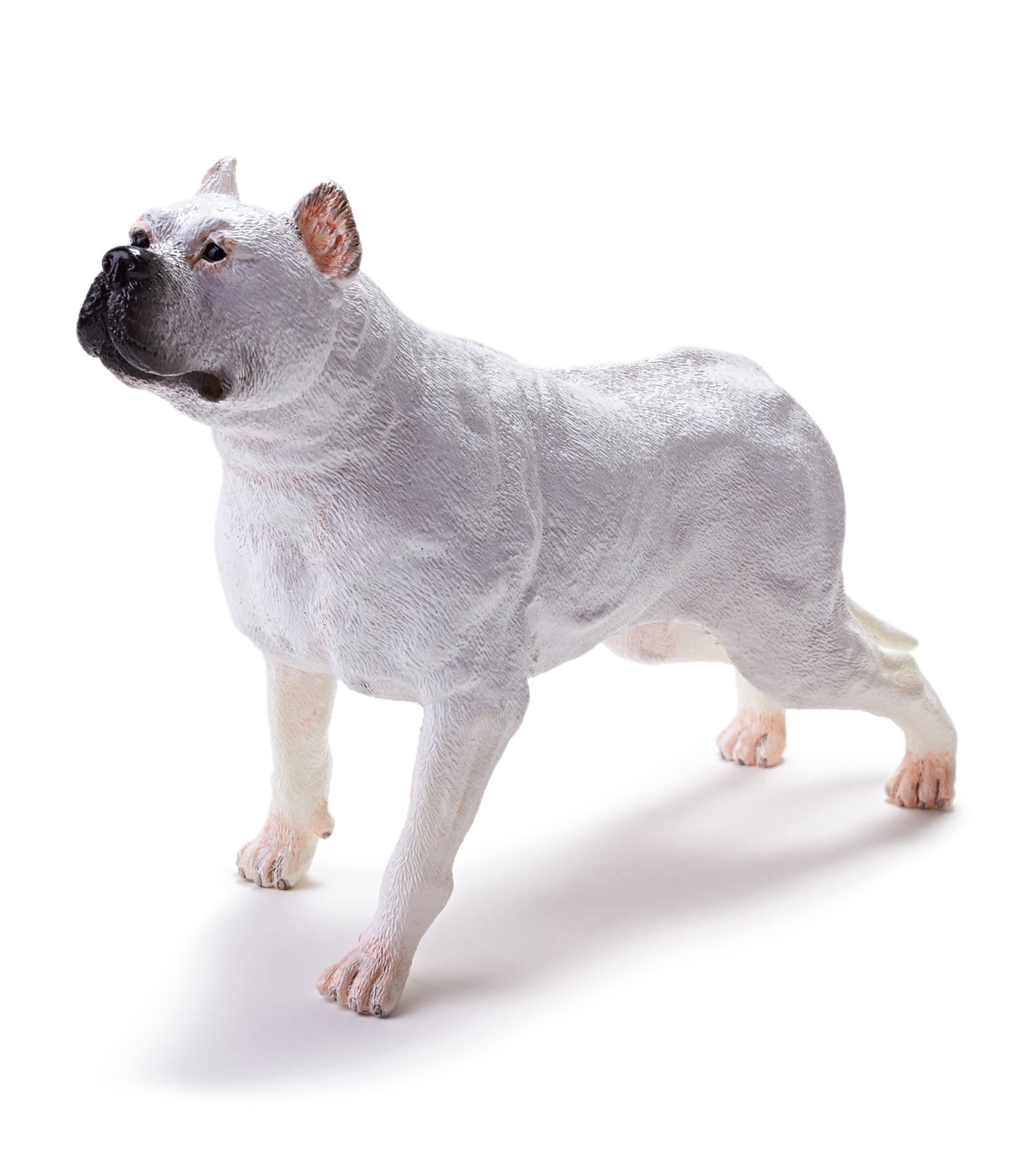 recur dogo argentino