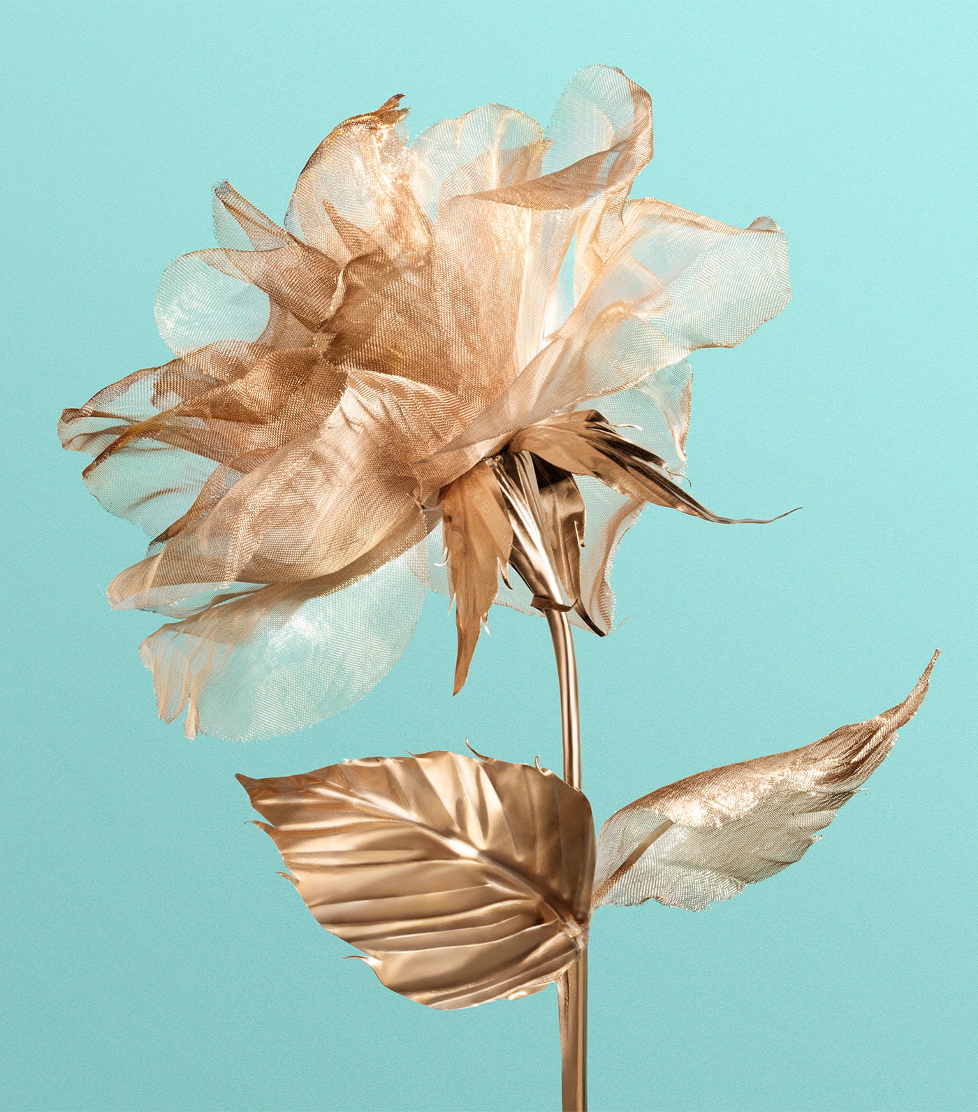 Rose Gold Eau de Parfum