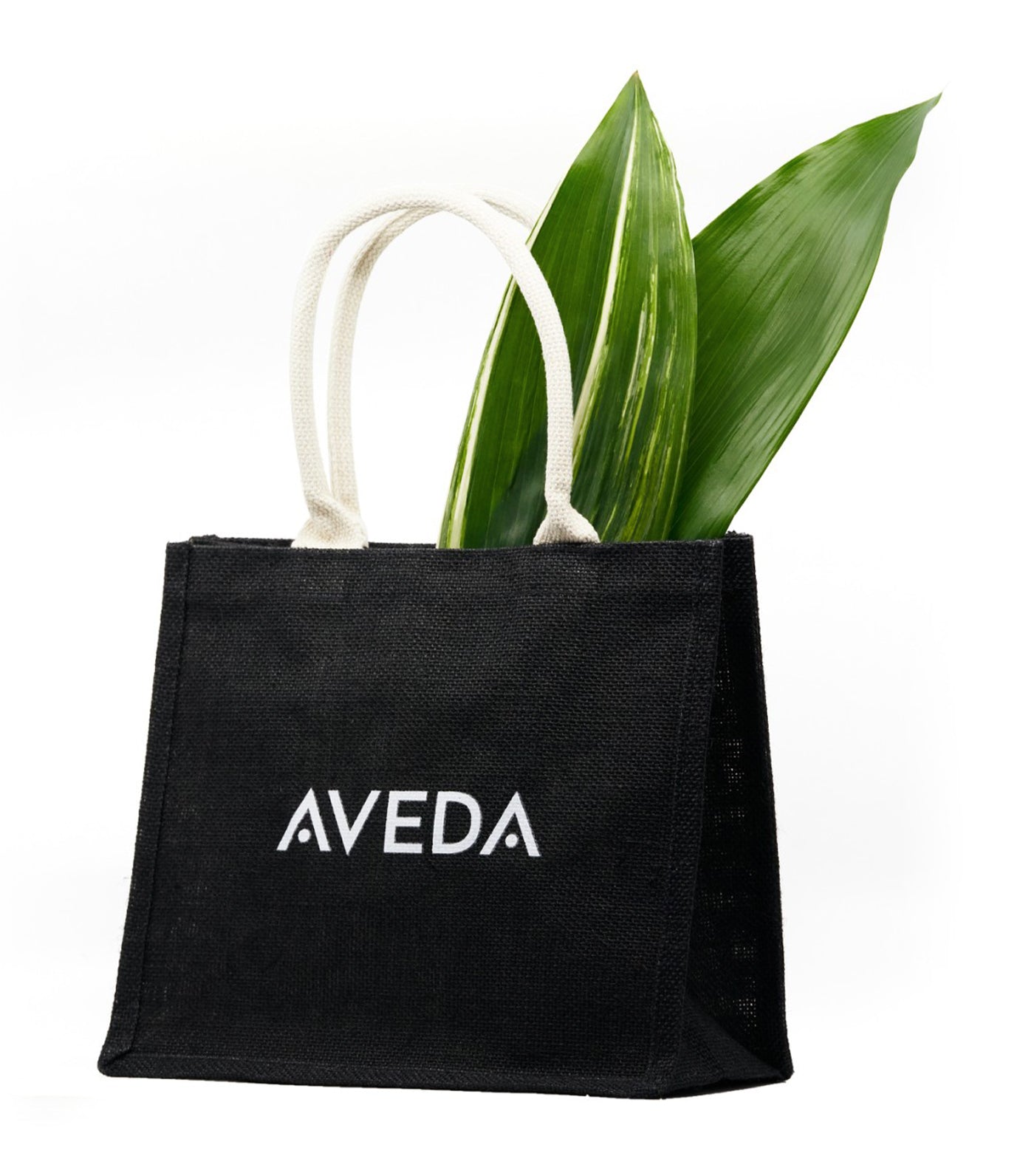 Free Tote Bag