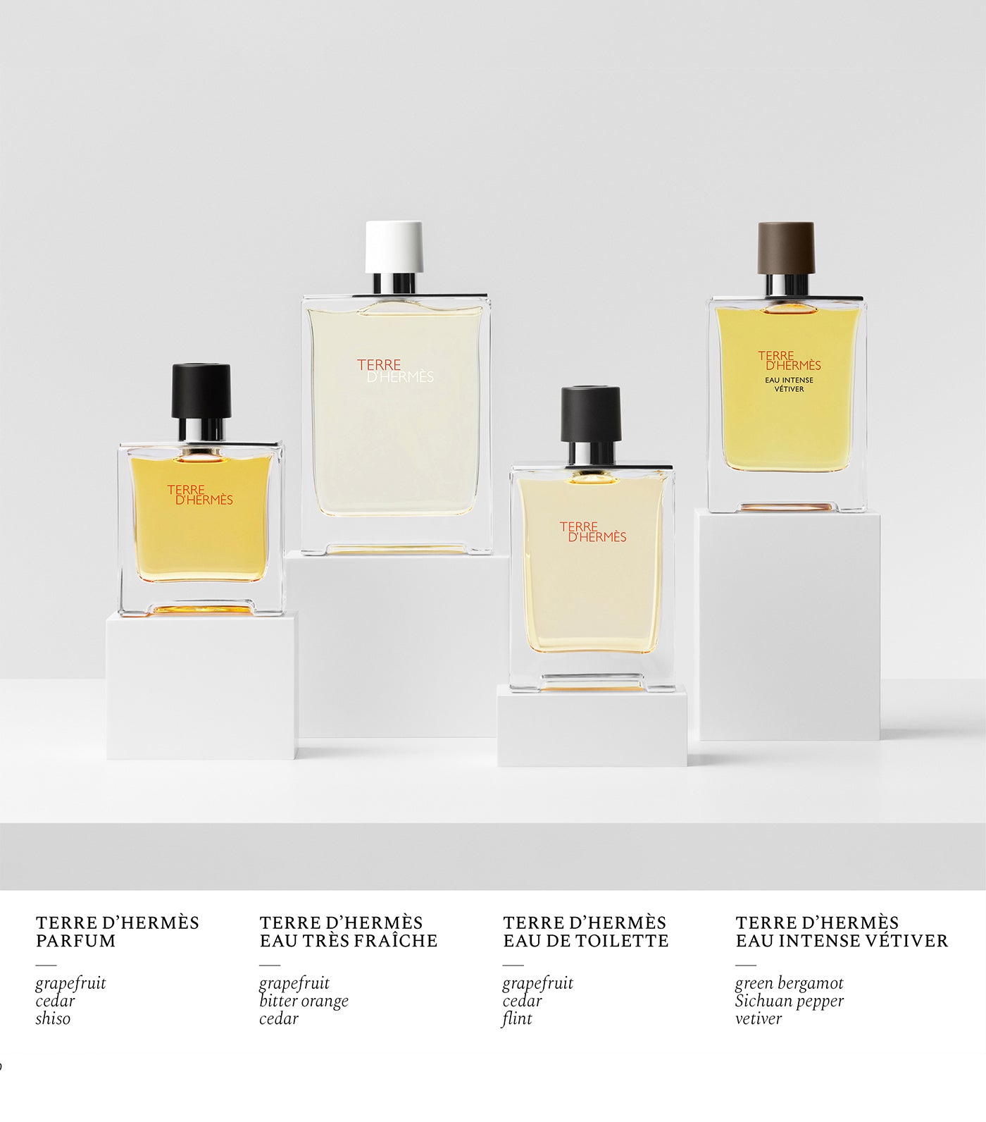 Terre d'Hermès Eau de Toilette