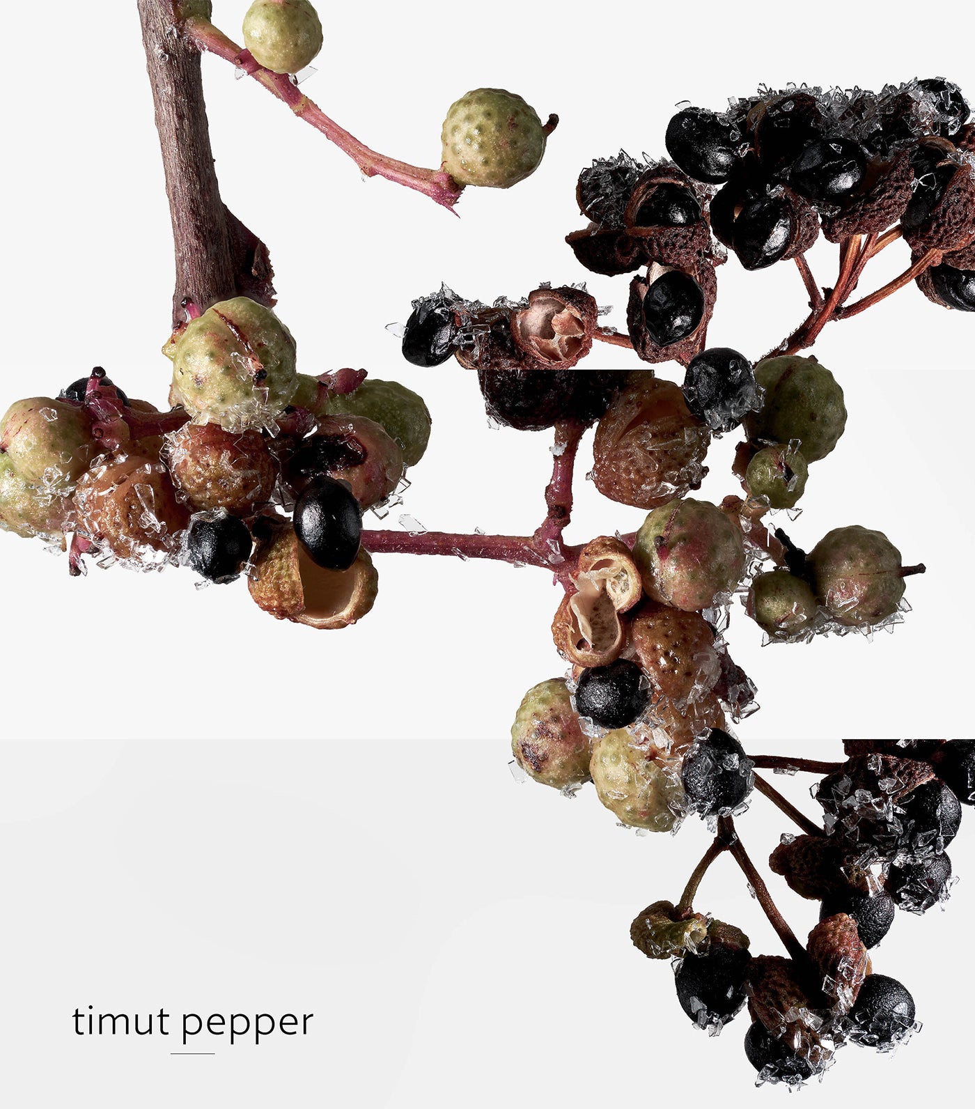 Terre d'Hermès Eau Givrée Eau de Parfum