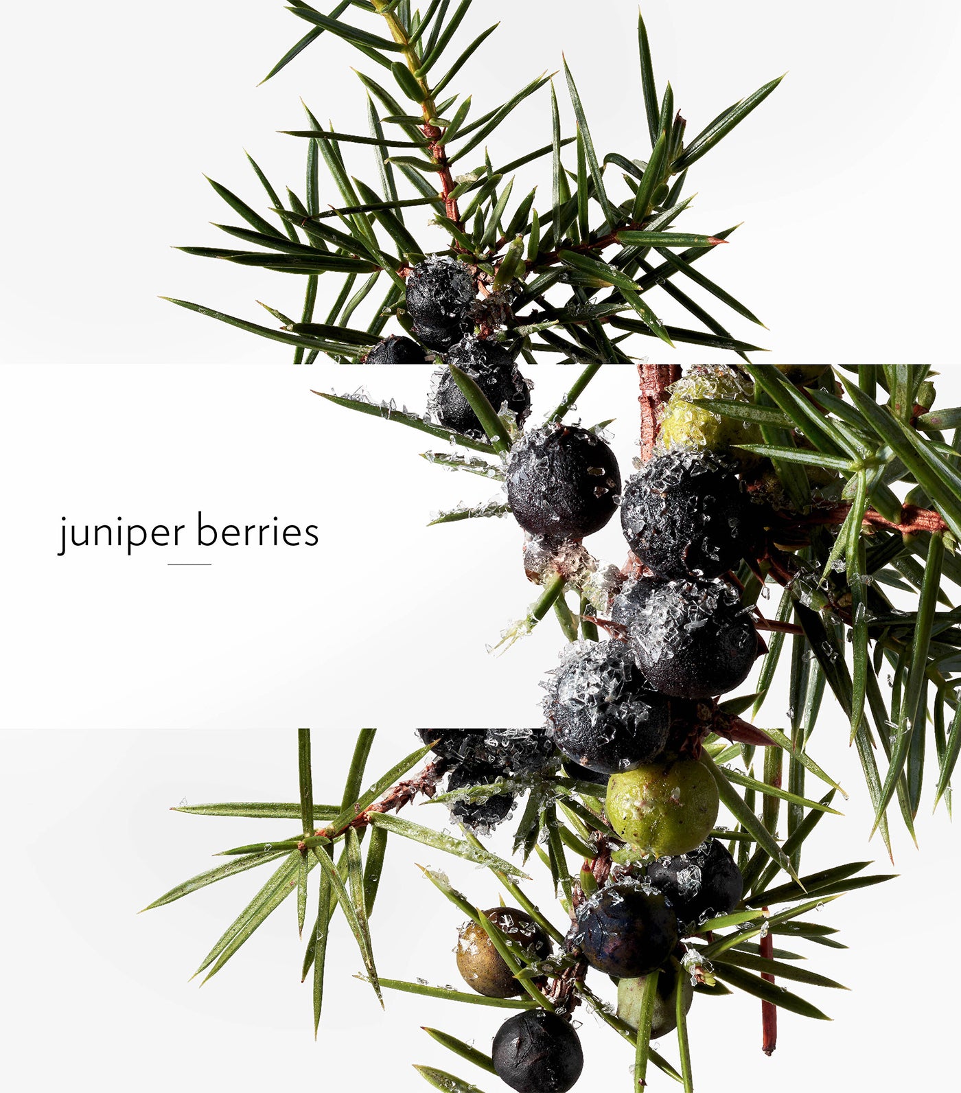 Terre d'Hermès Eau Givrée Eau de Parfum