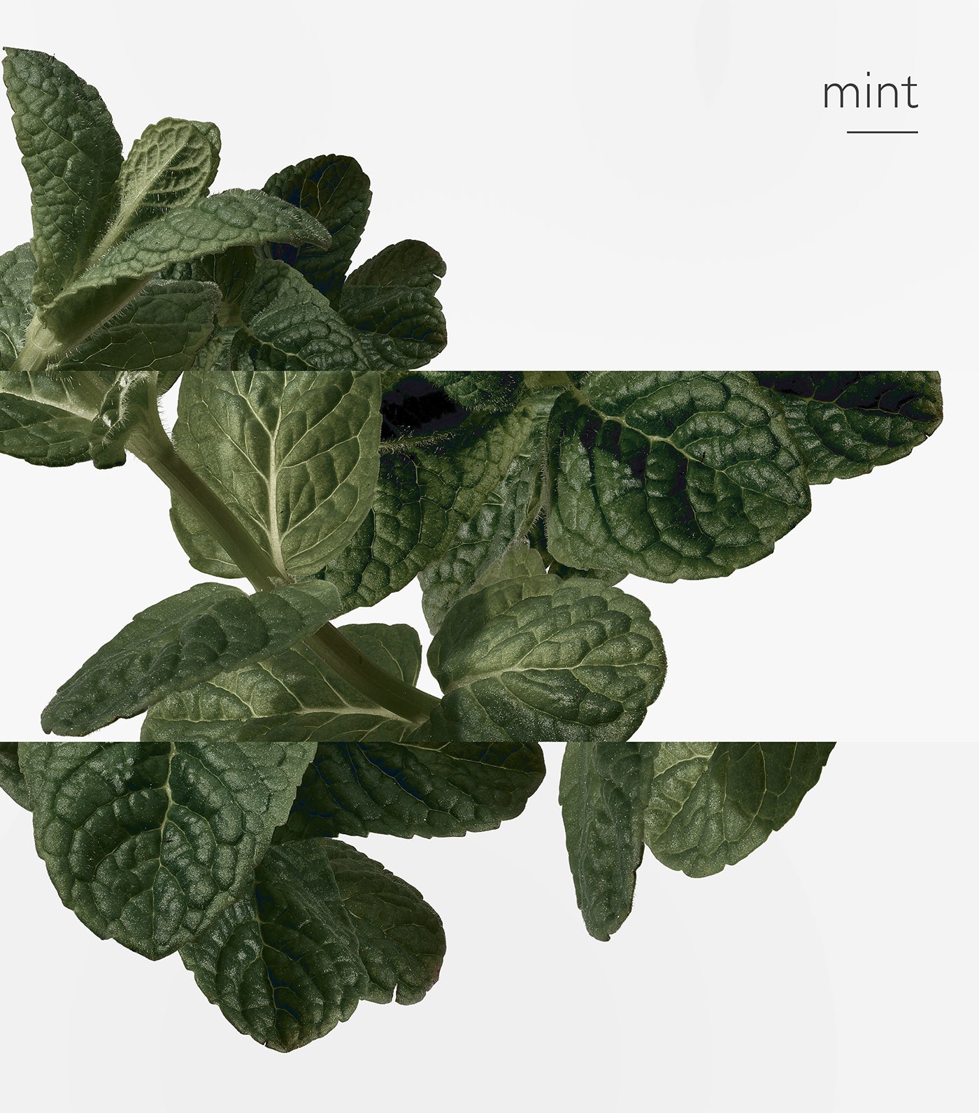 Eau d'Orange Verte Eau de Cologne, 100ml