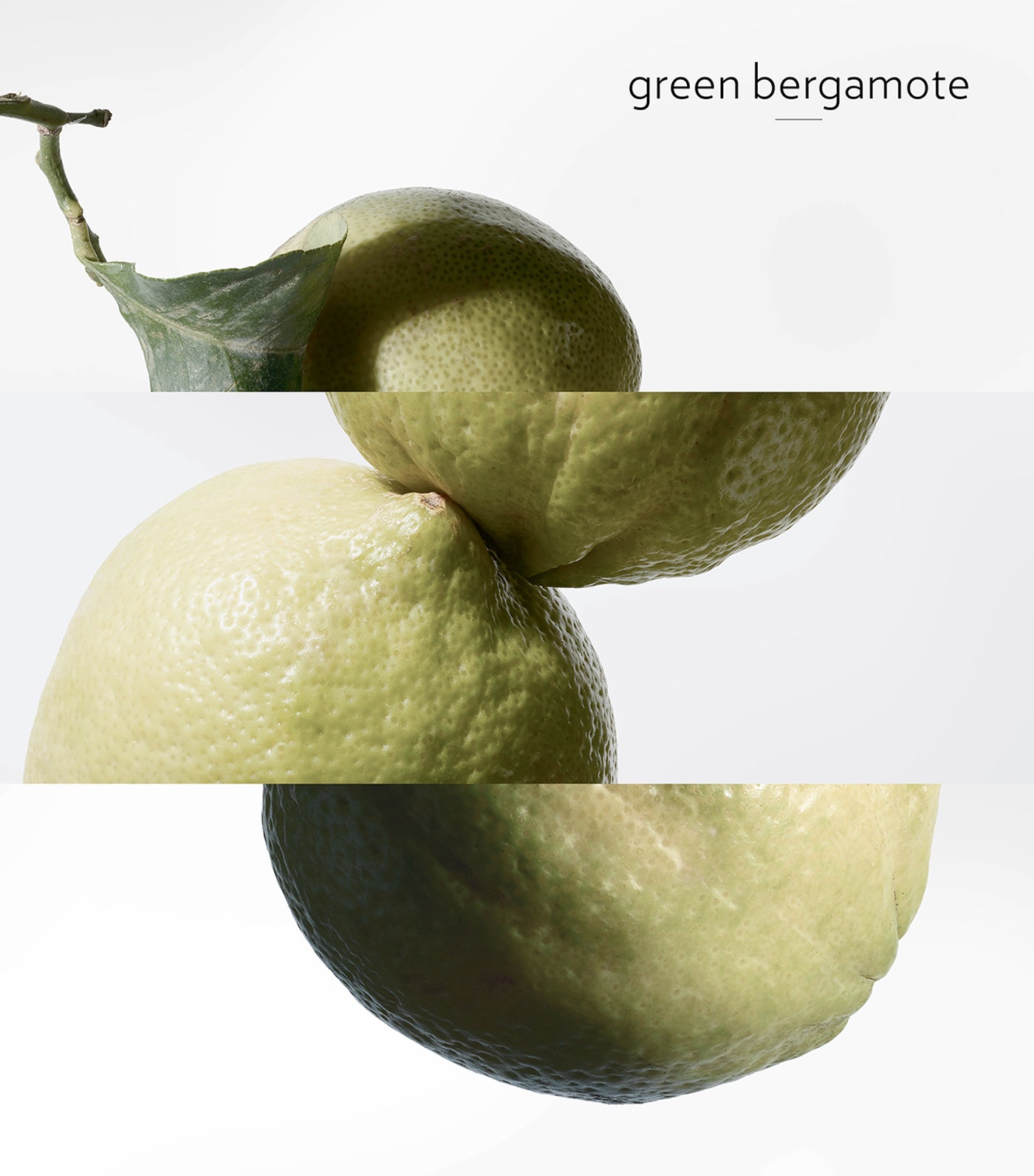 Eau de Basilic Pourpre Eau de Cologne 100ml