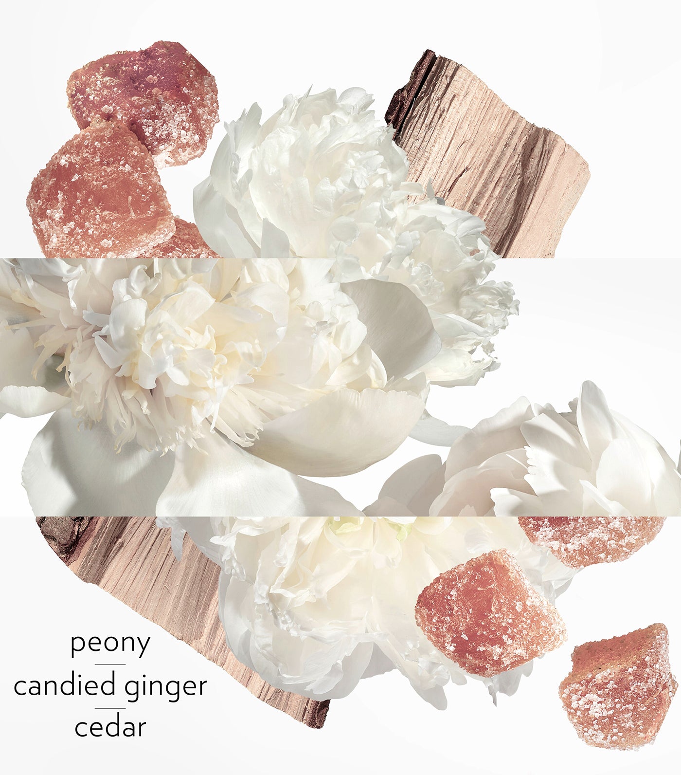 Twilly Eau Ginger, Eau de Parfum