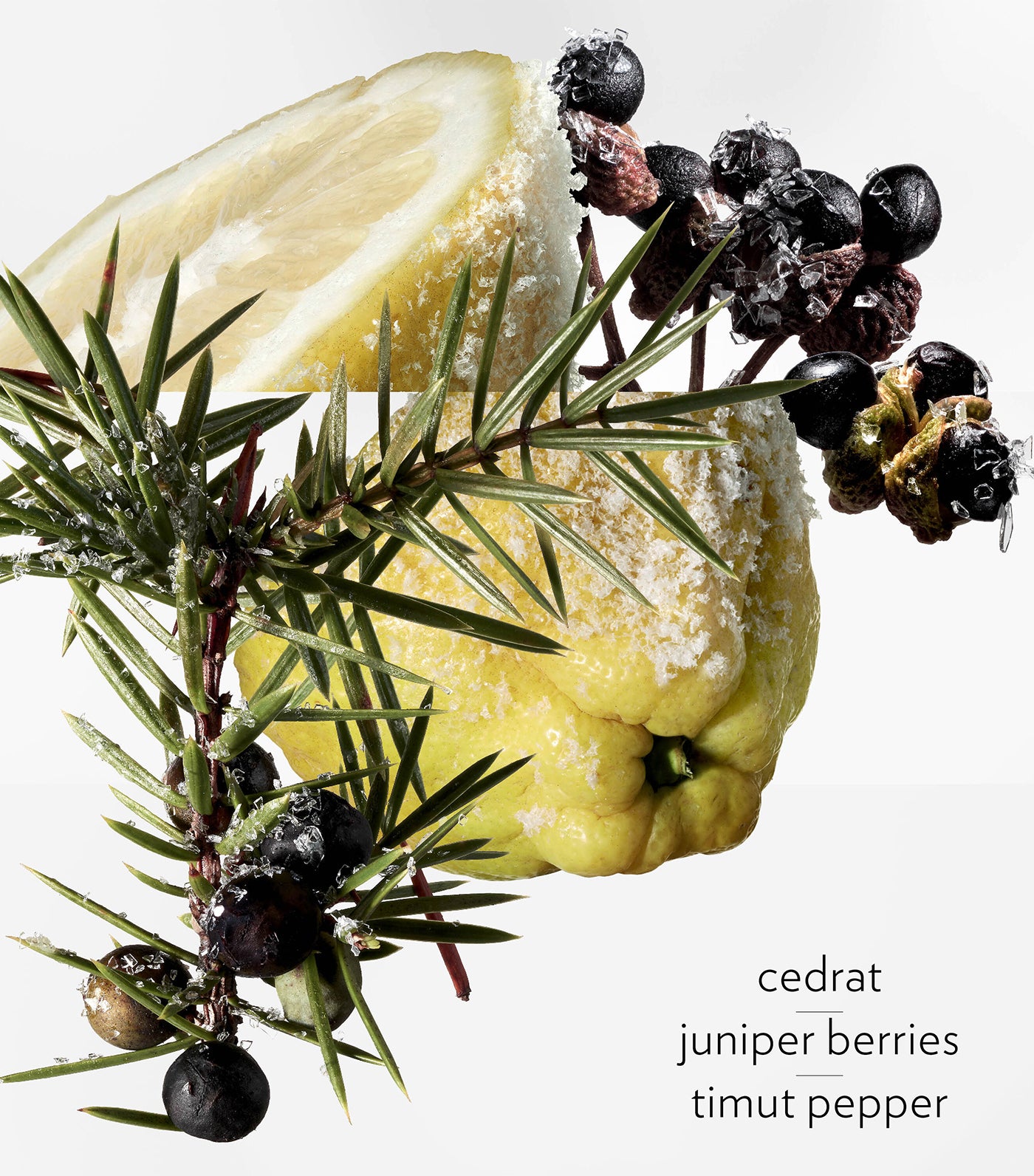 Terre d'Hermès Eau Givrée Eau de Parfum