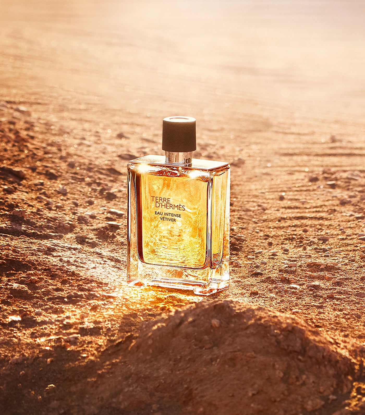 Hermès Terre d'Hermès Eau Intense Vétiver Eau de Parfum