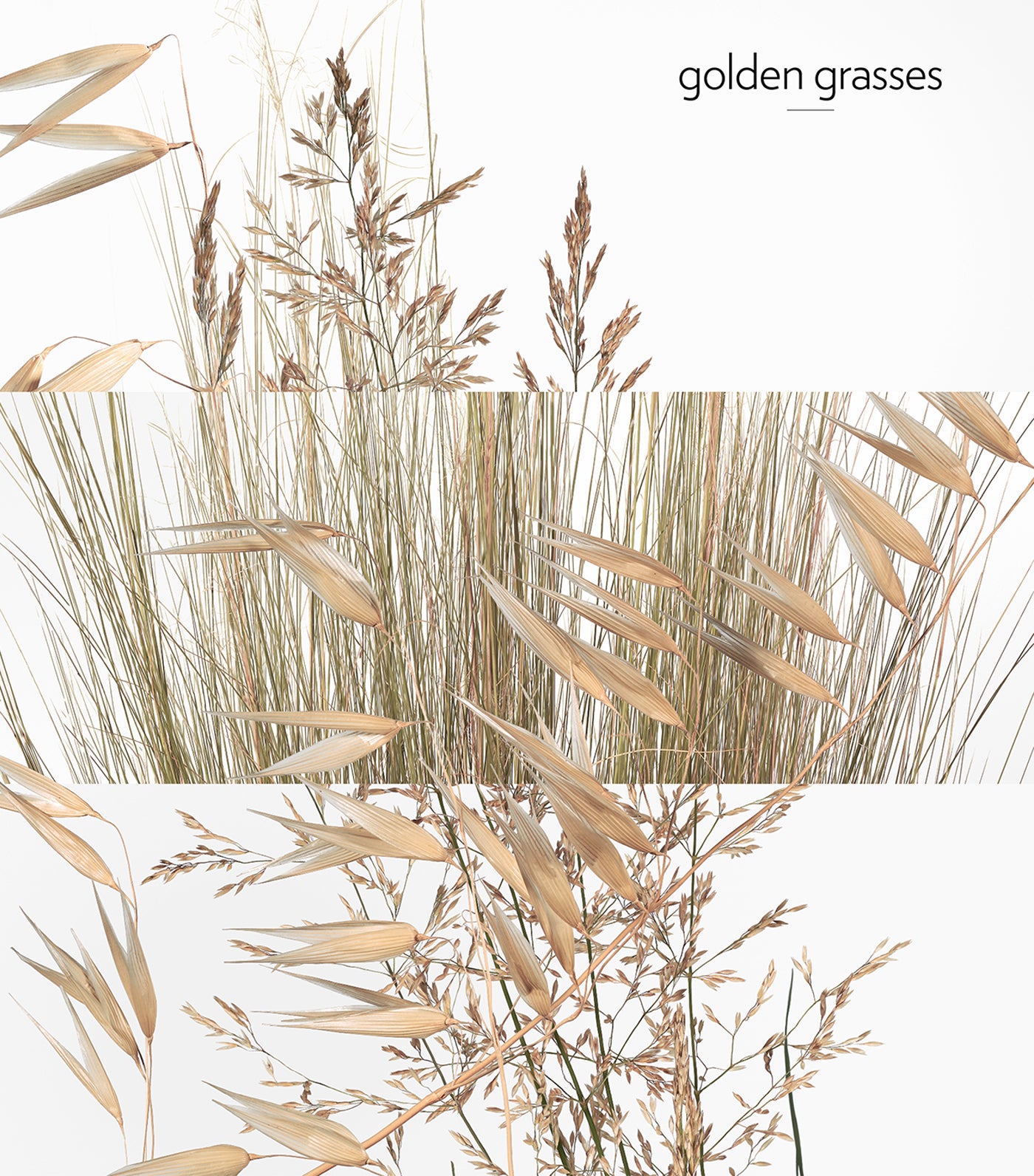 Un Jardin à Cythère Body Shower Gel, 200ml