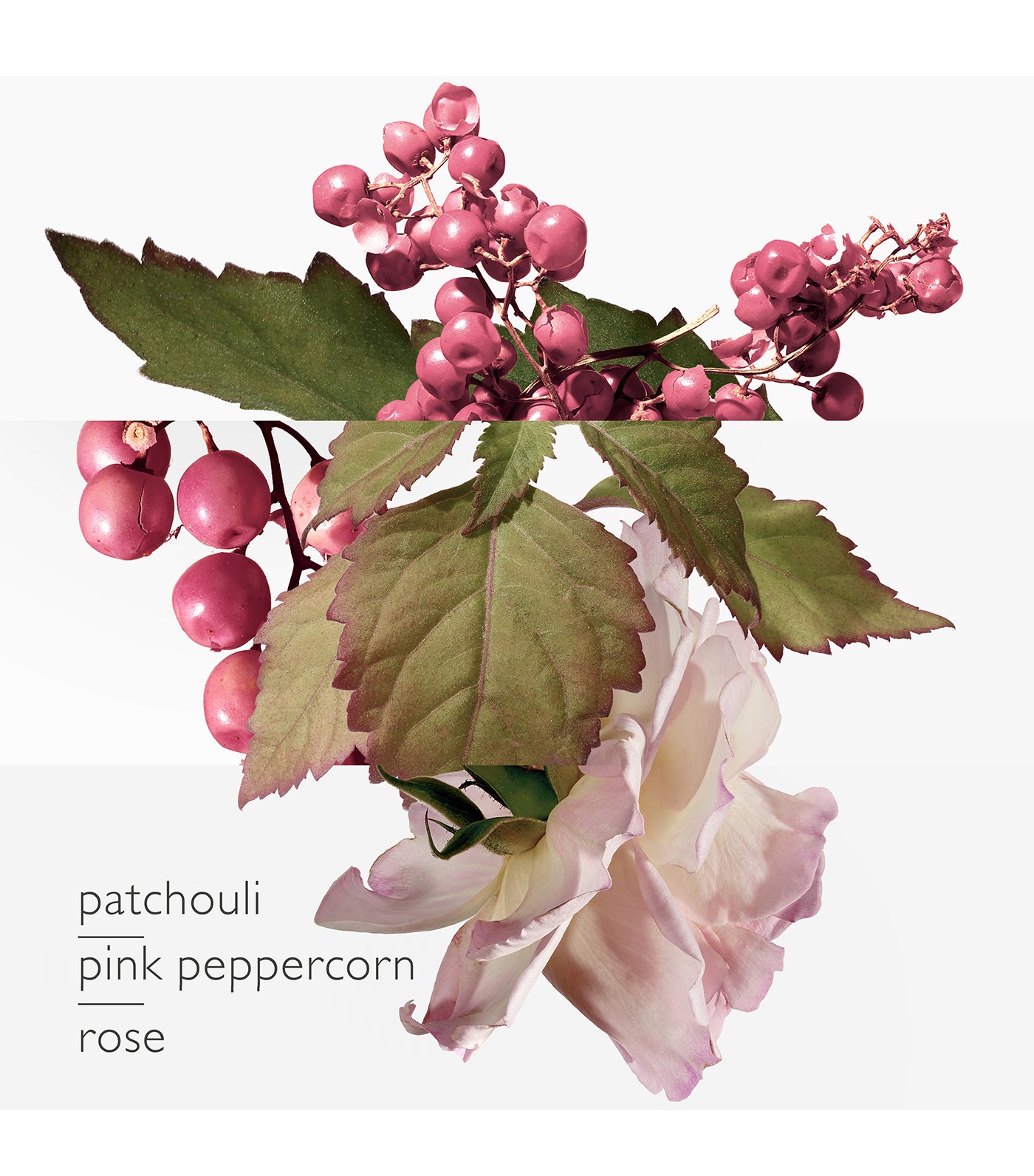 Twilly d'Hermès Eau Poivrée Eau de Parfum