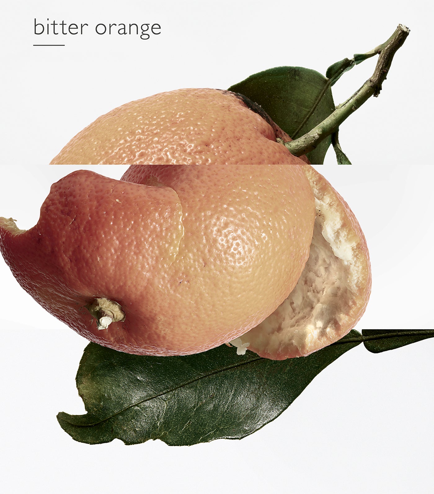 Eau des Merveilles Eau de Toilette